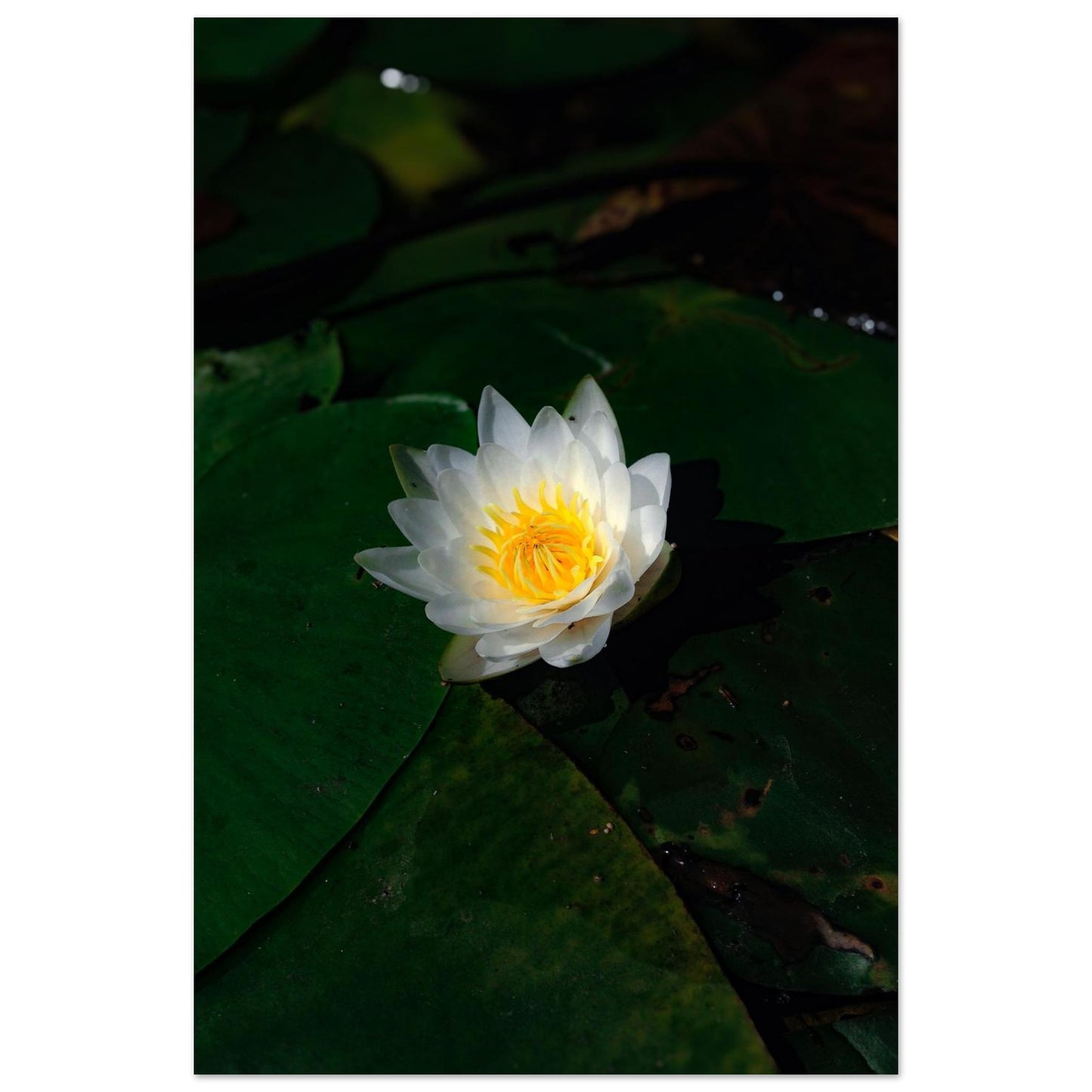 71eef1ed-4132-42f7-bb3c-fdac7f8a5790