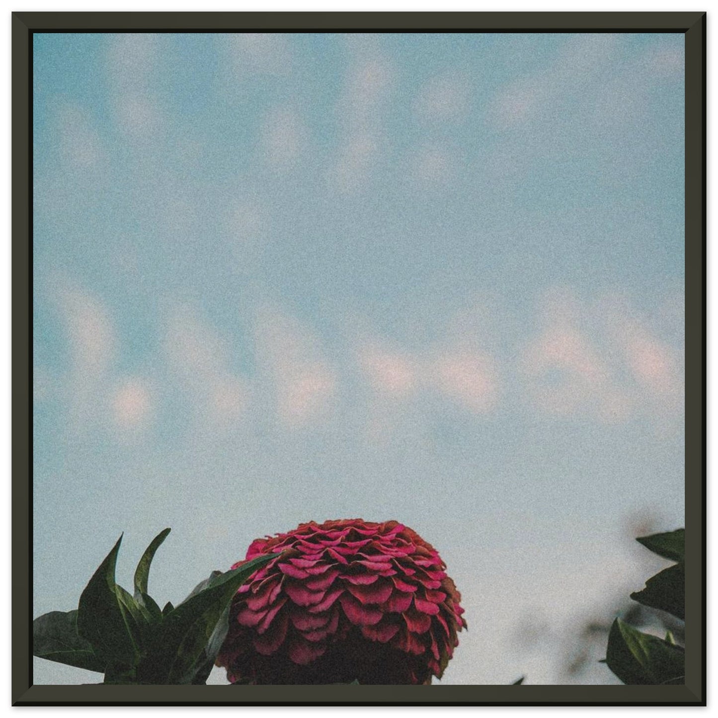 726b039d-3b55-45ee-bd93-951fb204c606