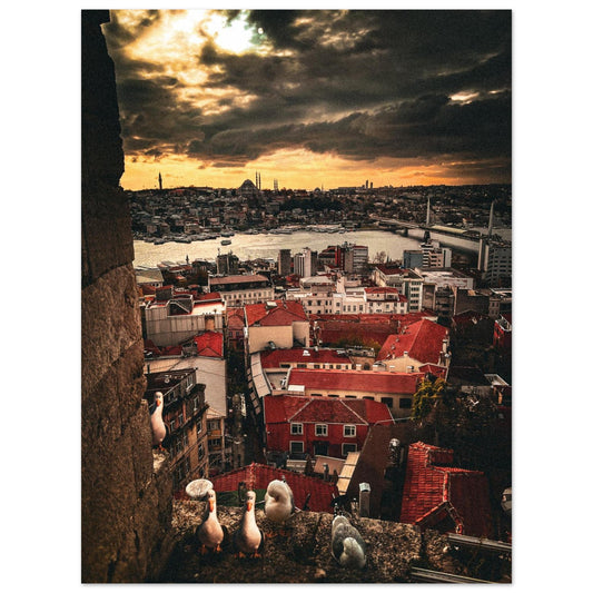 738bd687-f977-43a0-a544-8b7eb3d4e09a