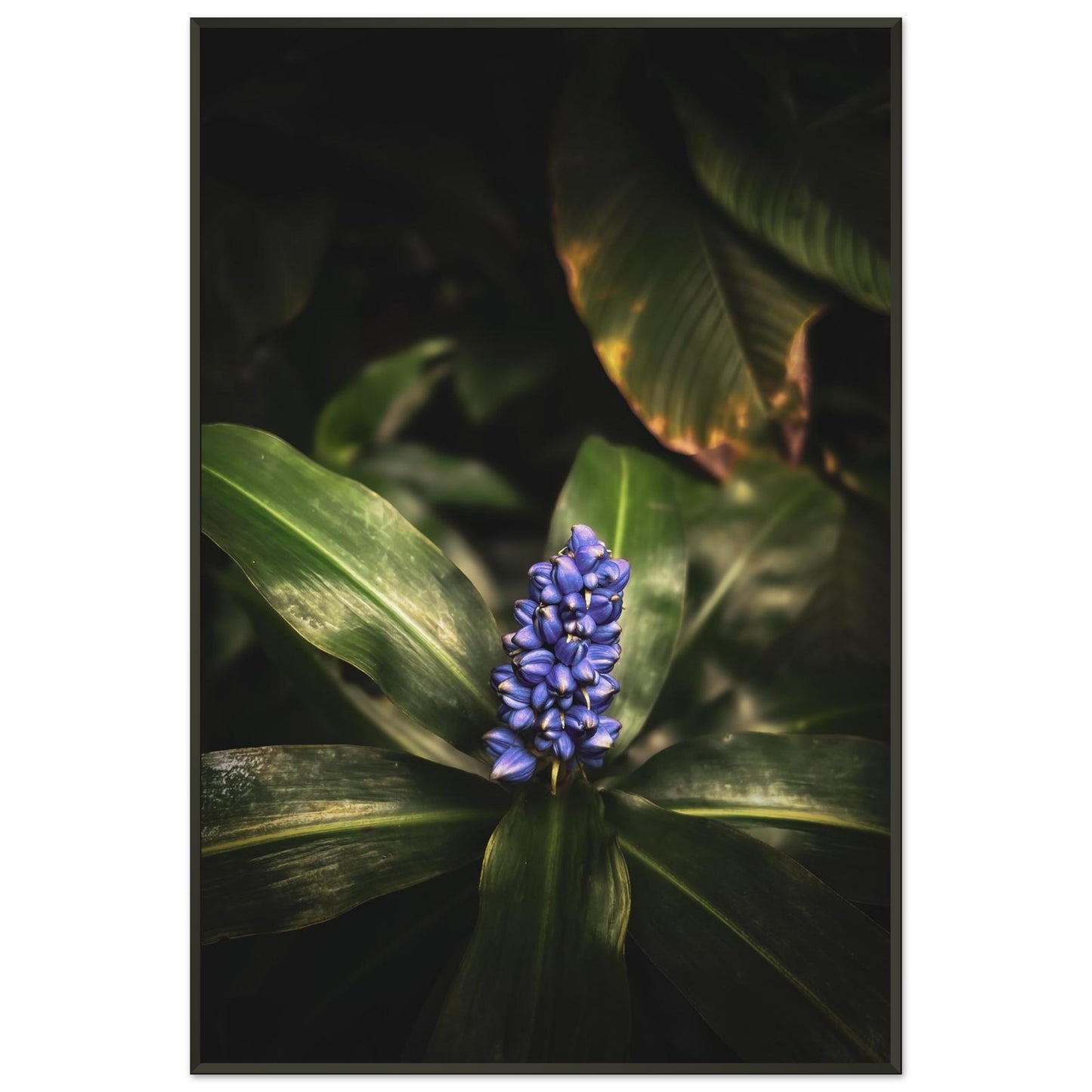 73d3ac04-127e-480f-a1d1-a19754e4ae7c