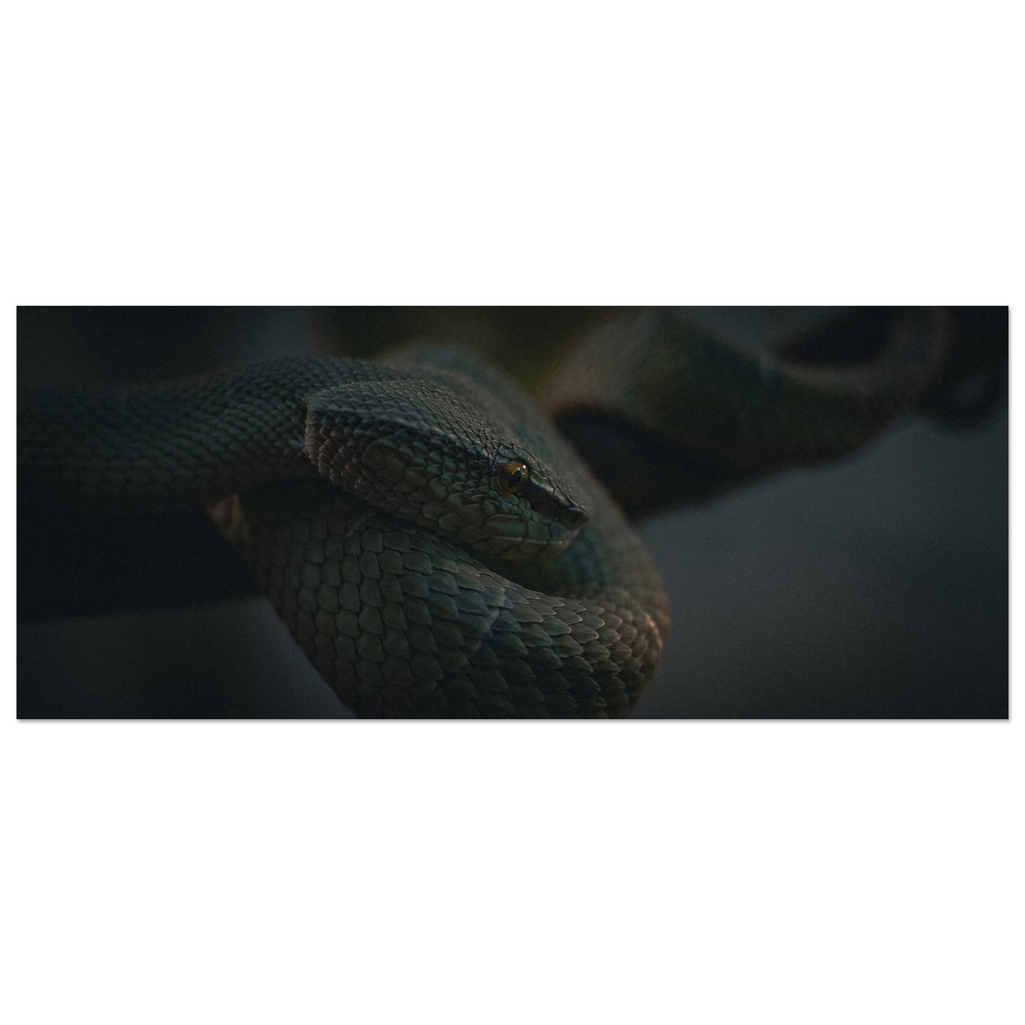 7511e055-bd75-4752-a611-63cdd0dee127