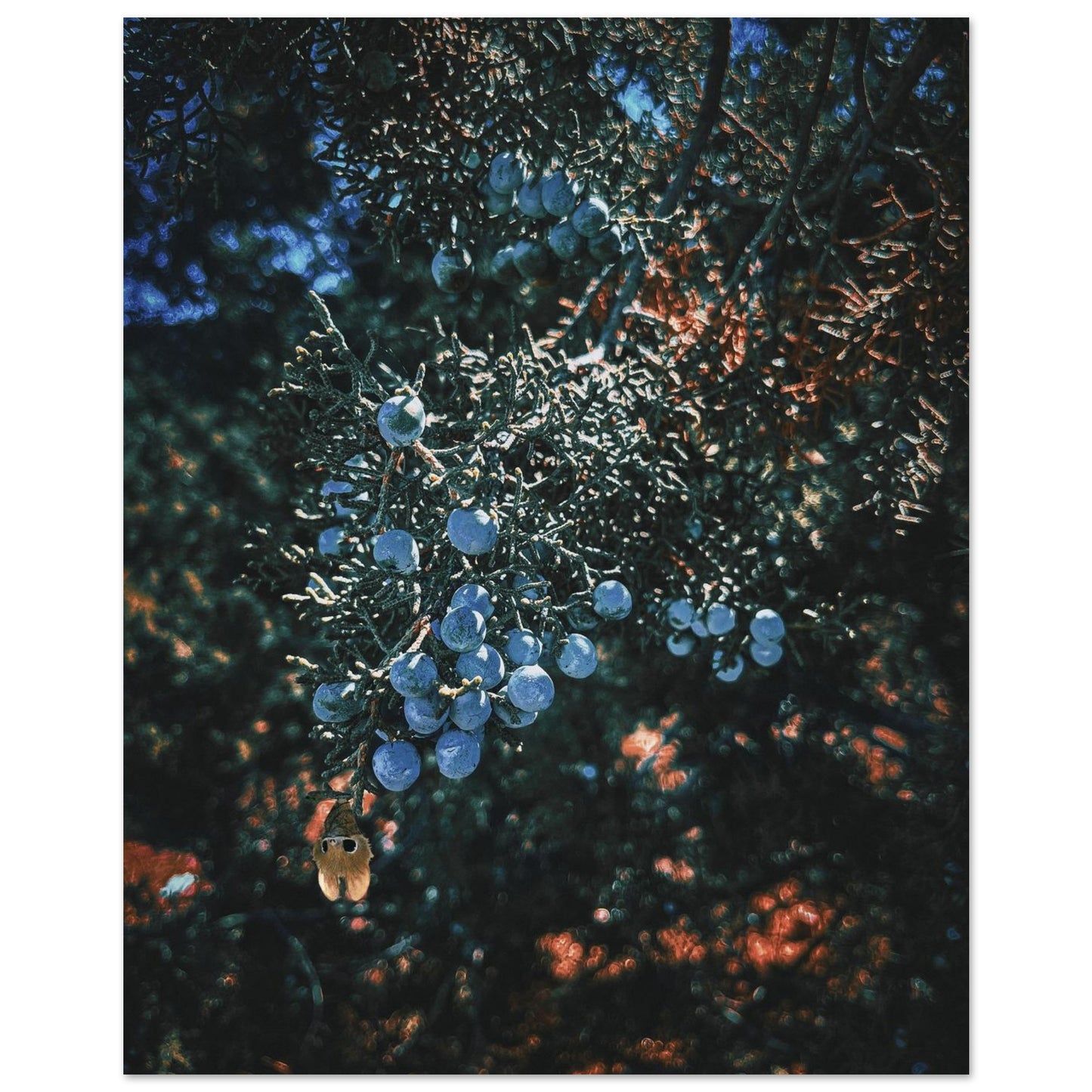 773813fa-a747-4f1f-a46f-85809e016f19