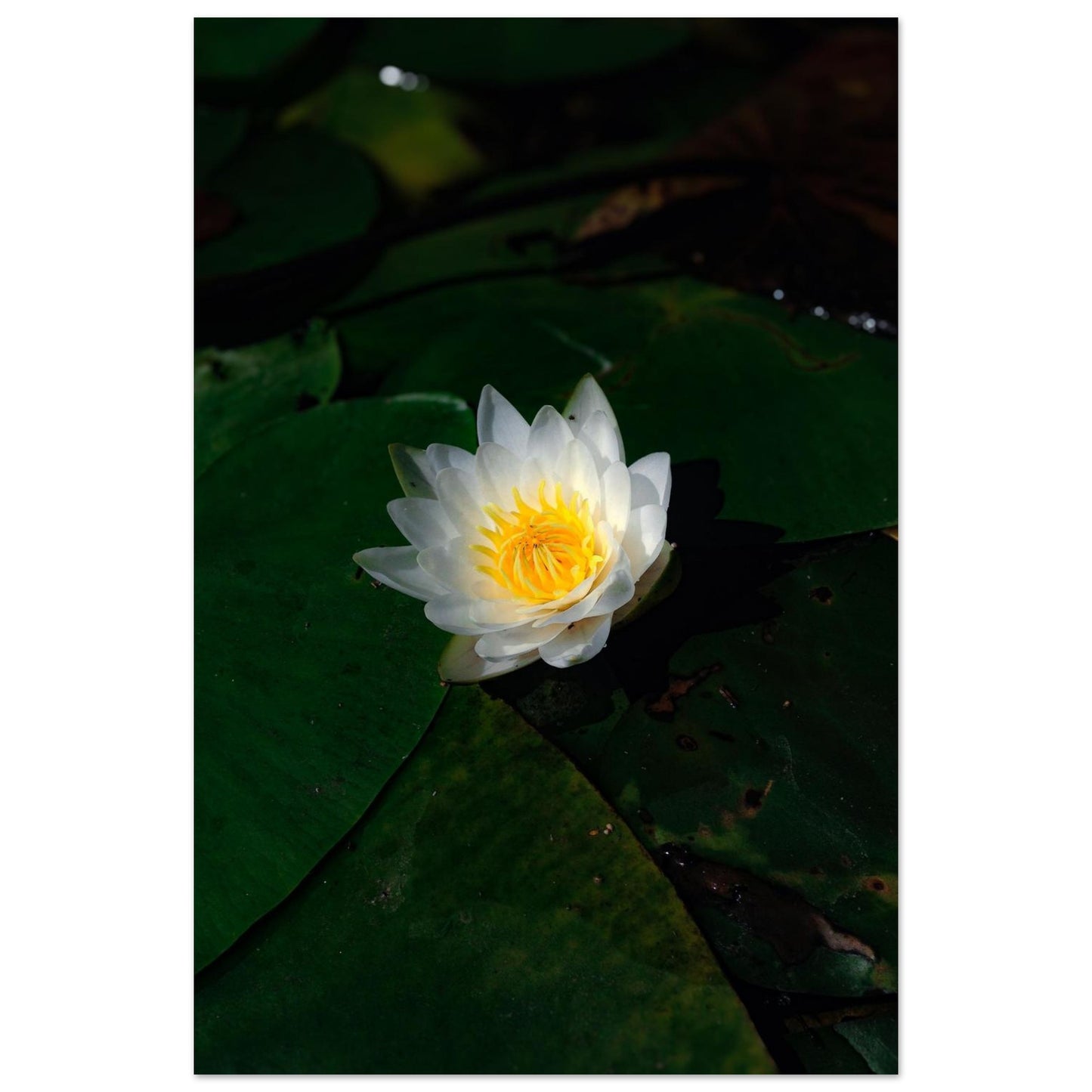 7775cd3c-a559-4c8d-b59e-9344cbb2ff58