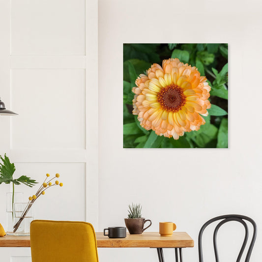 78056d7c-fc93-4b8e-b9ec-3d76a721d80d