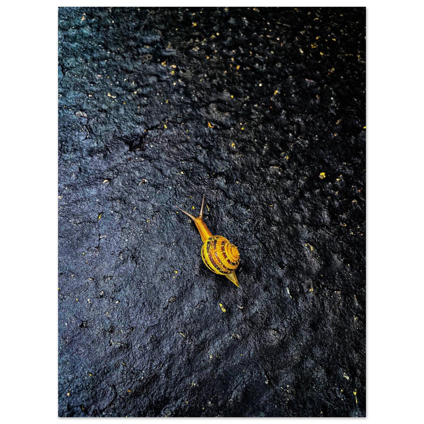 79a74510-d186-4edd-9f49-844e78e3dd7f