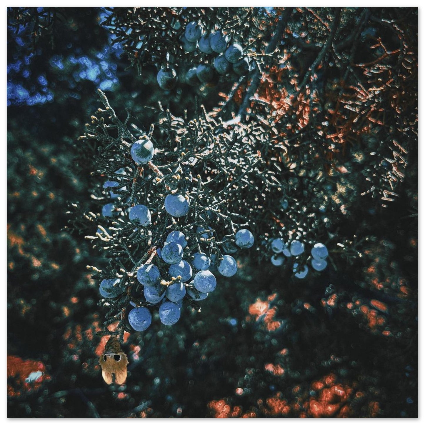 7aa19895-eb9e-451d-80a2-8c778ad506aa