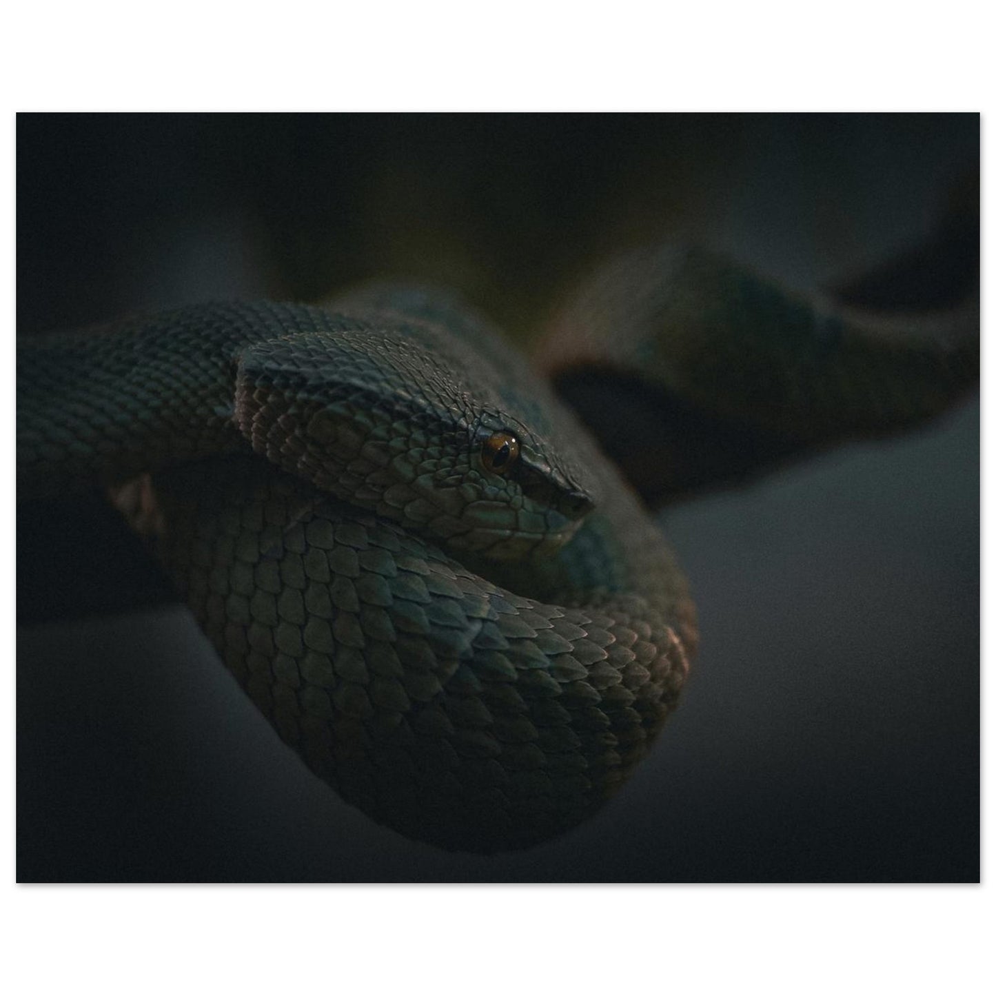 7bd0e9dc-0eeb-4218-a640-5d62d44bed29