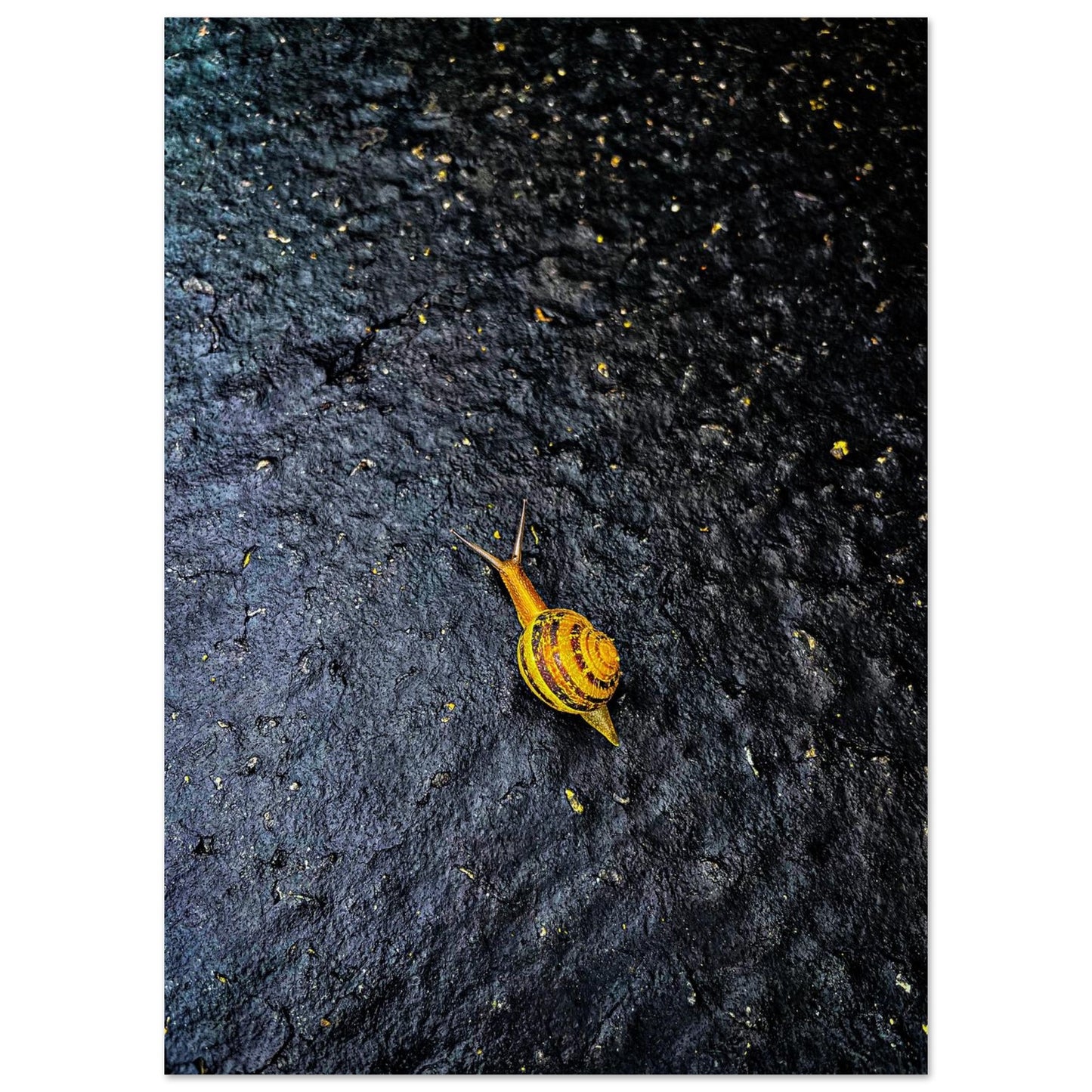 7d6ae162-4744-4ed5-a00a-e7669727330c