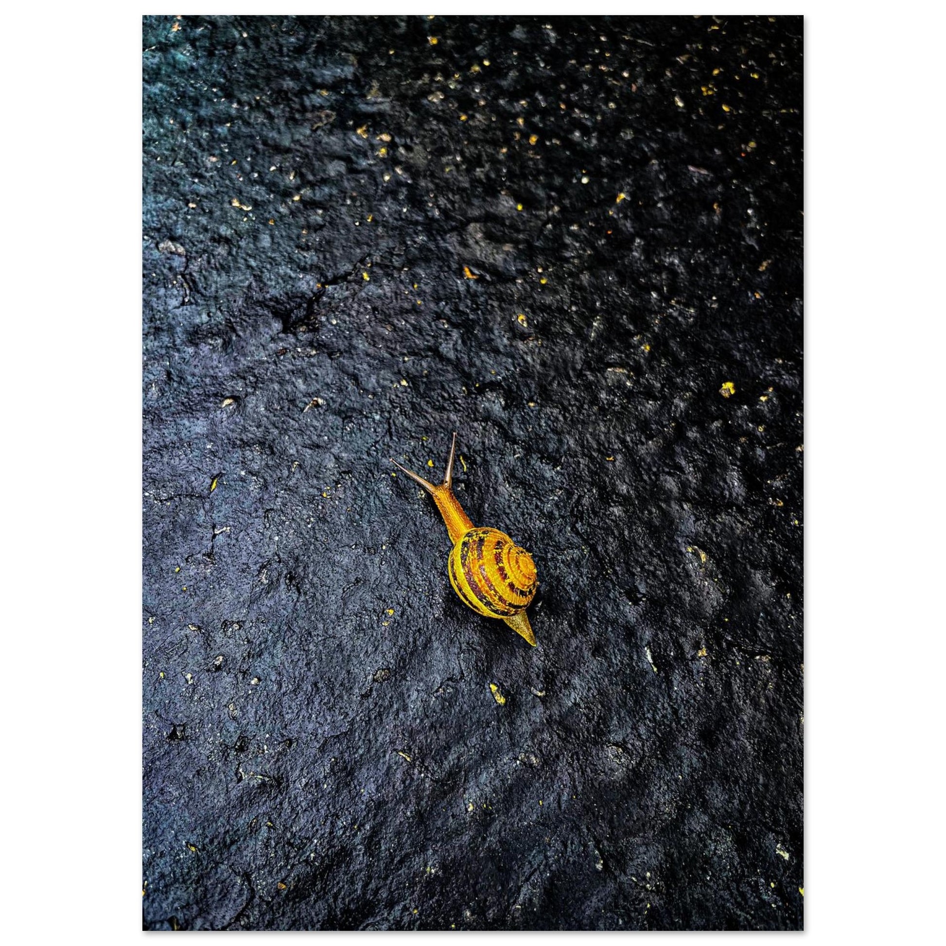 7d6ae162-4744-4ed5-a00a-e7669727330c