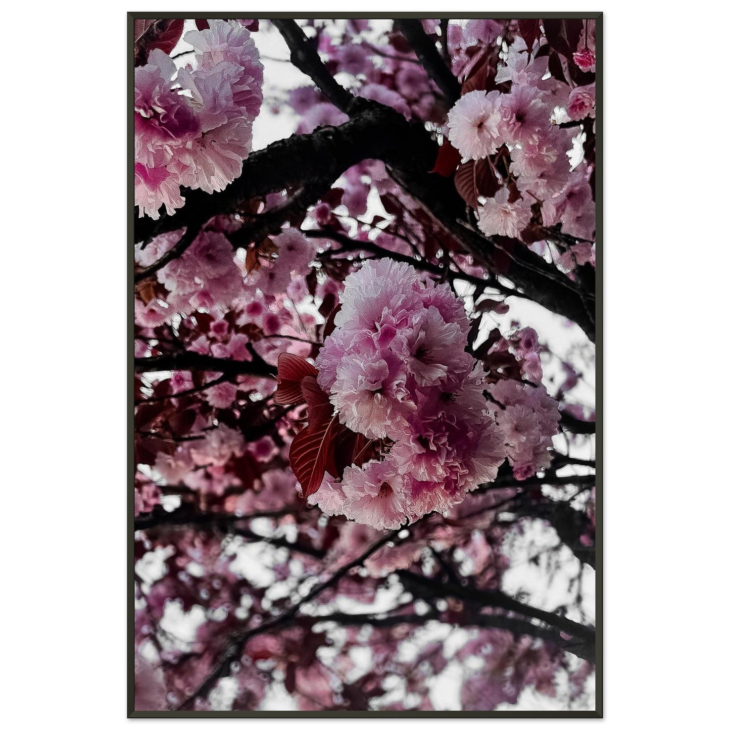 7e9d13bc-9a3c-4bf6-893a-f8df0bea6ffd