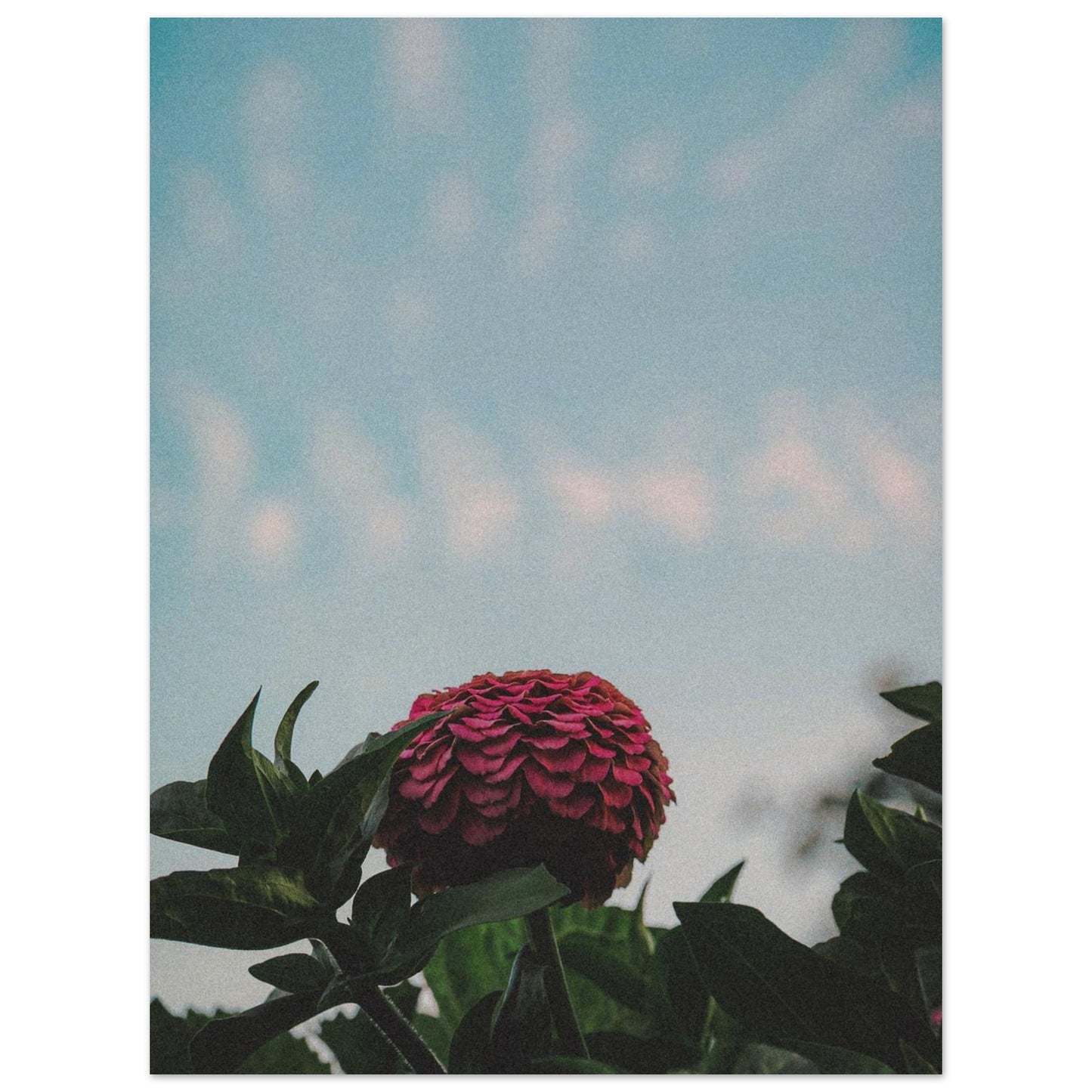 806cb1a2-2366-404e-b2d0-f6e63f52195d