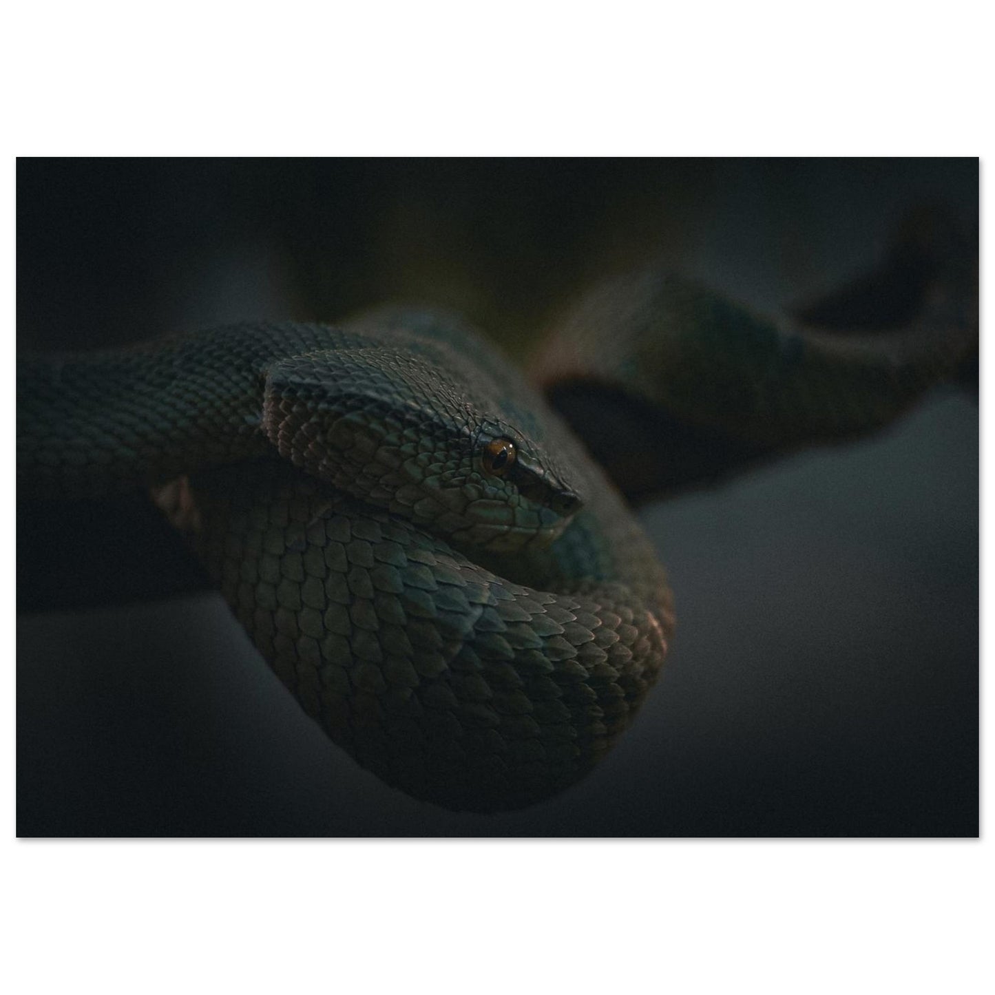 808e7fb4-f450-4937-9b92-bd8b83284349