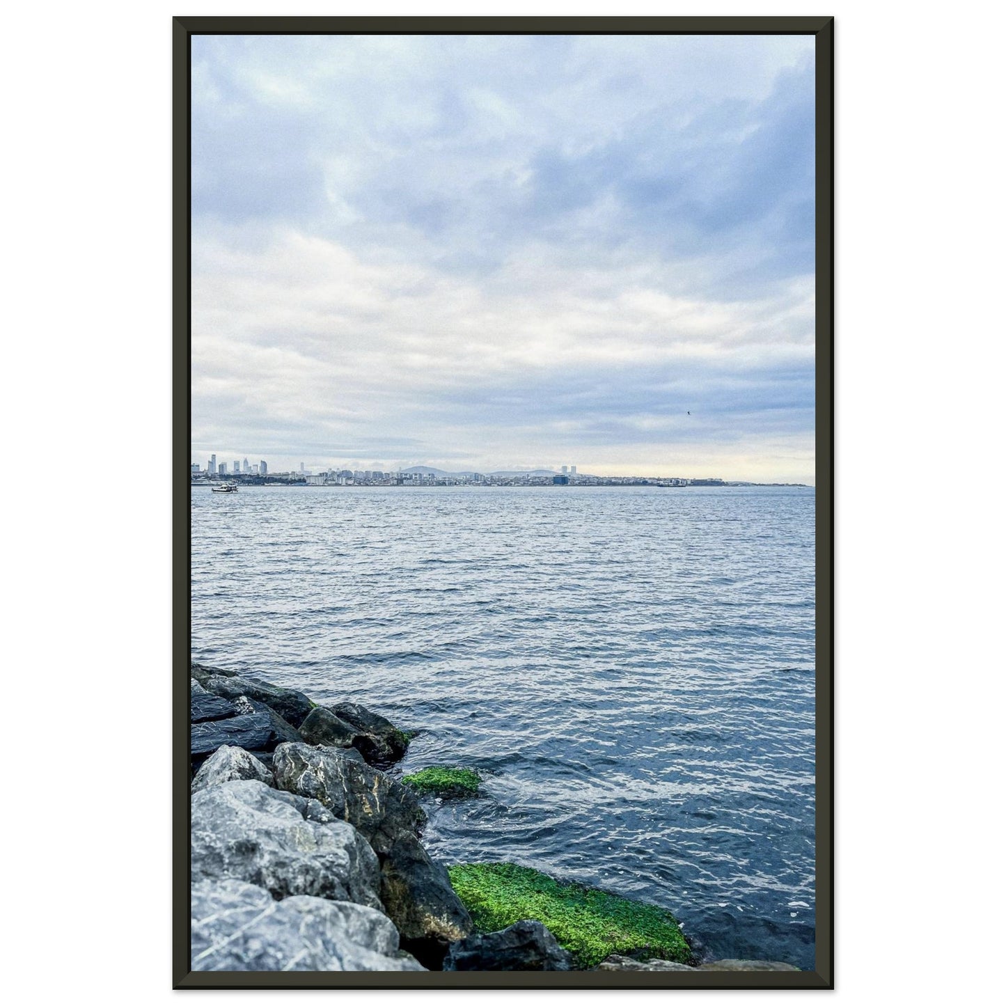 80e1572d-8c23-4617-a3dc-8643d81ac5a6