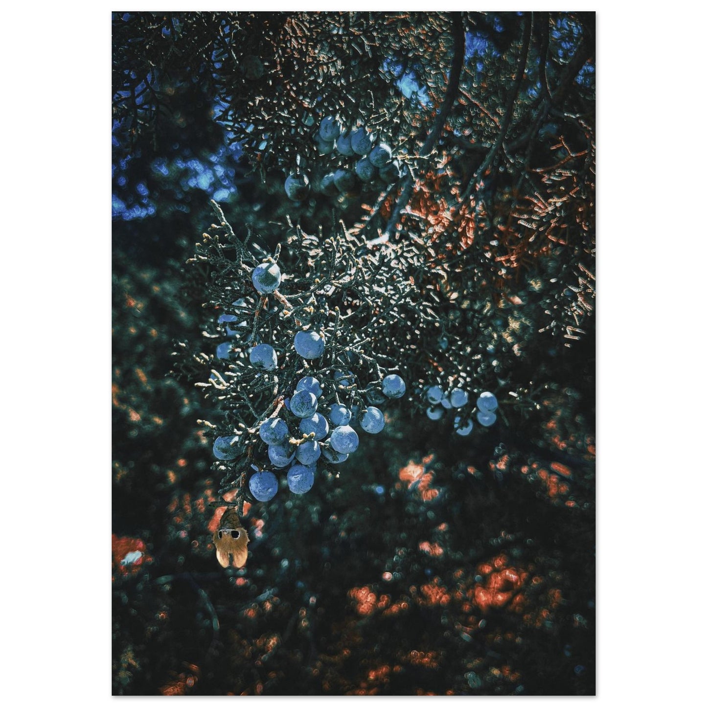 83b58aaa-e6f9-44b7-9f49-5b53482e69f0