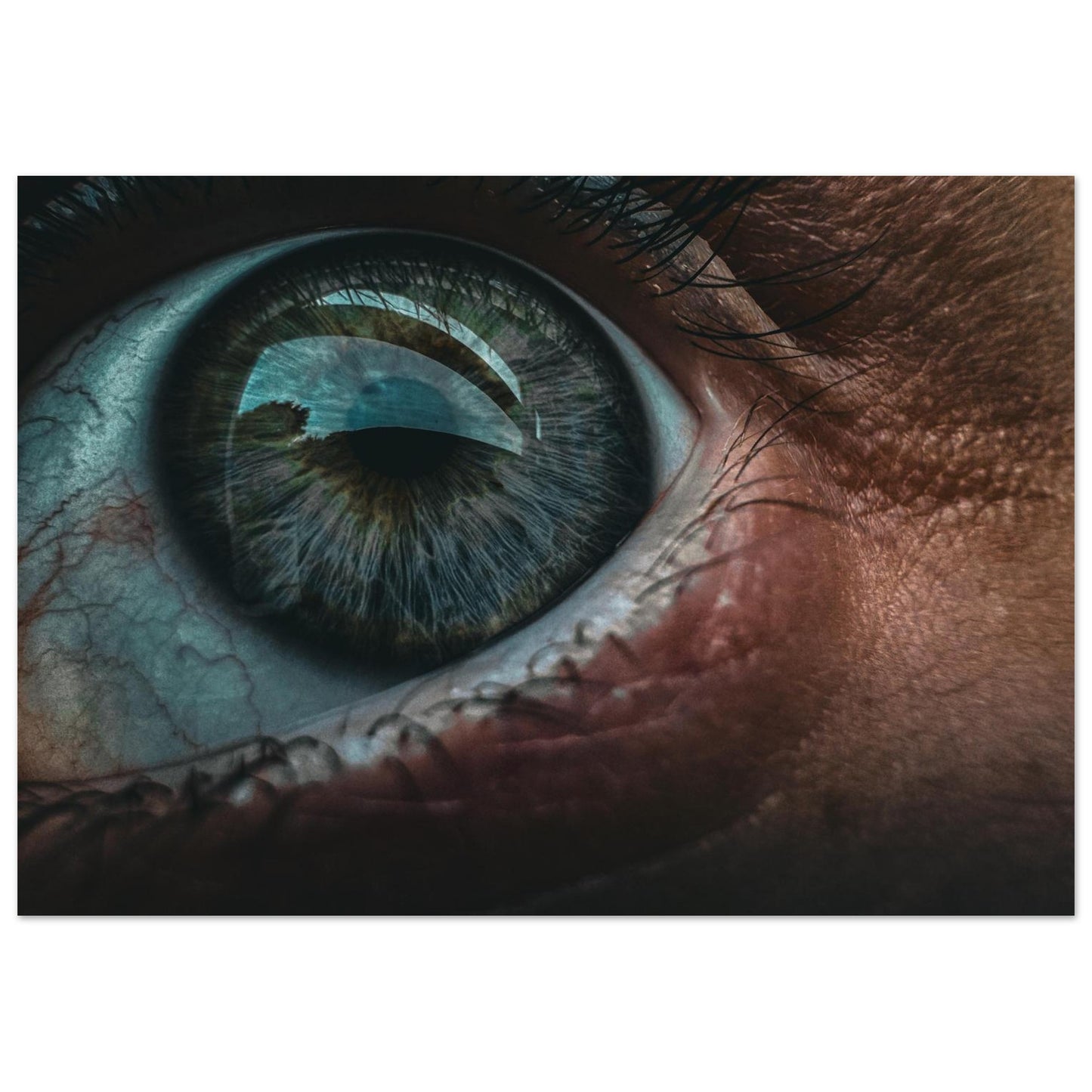 850685e5-947a-486a-ade3-b15eff48408d