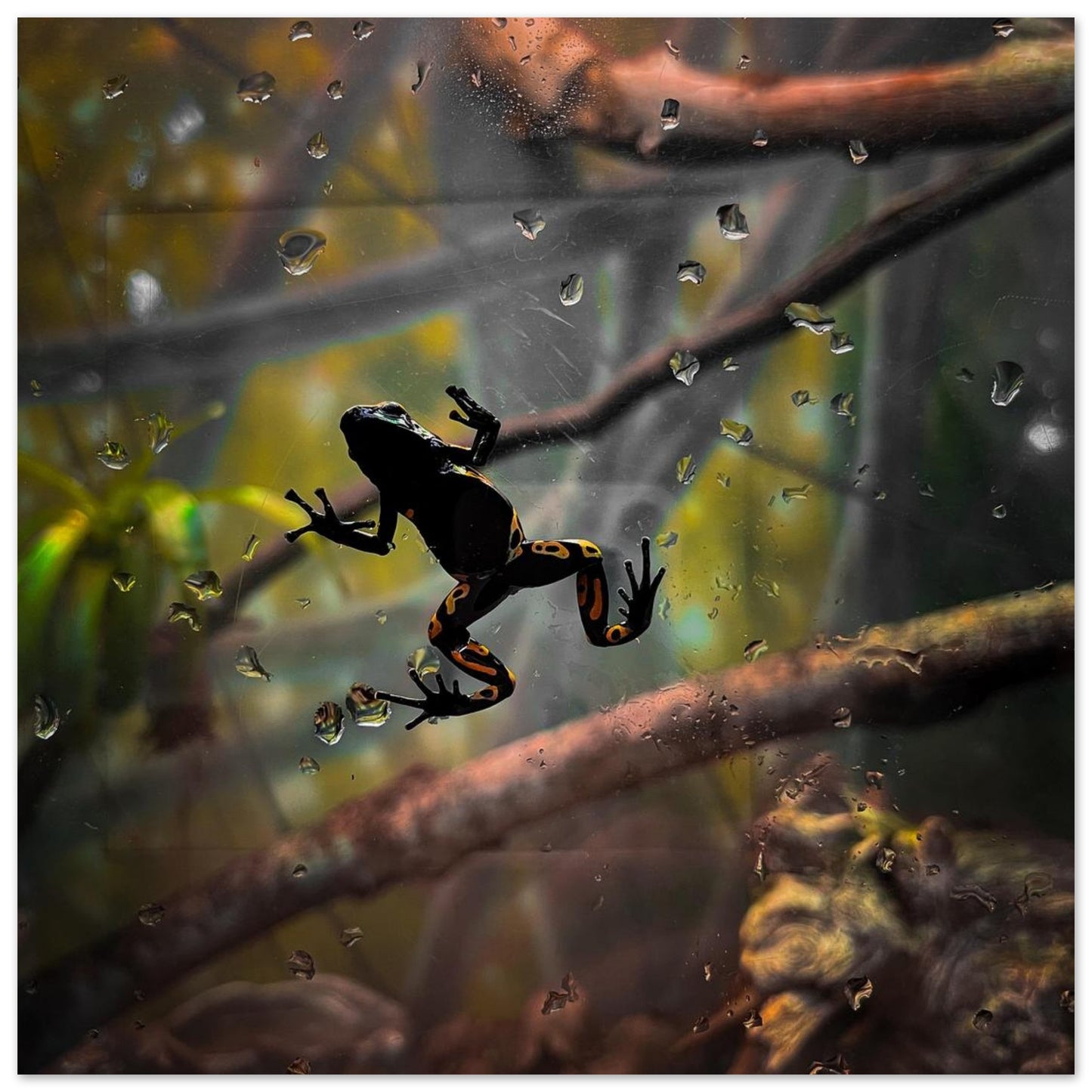 855355e2-c268-40f5-b385-8970e305c73c