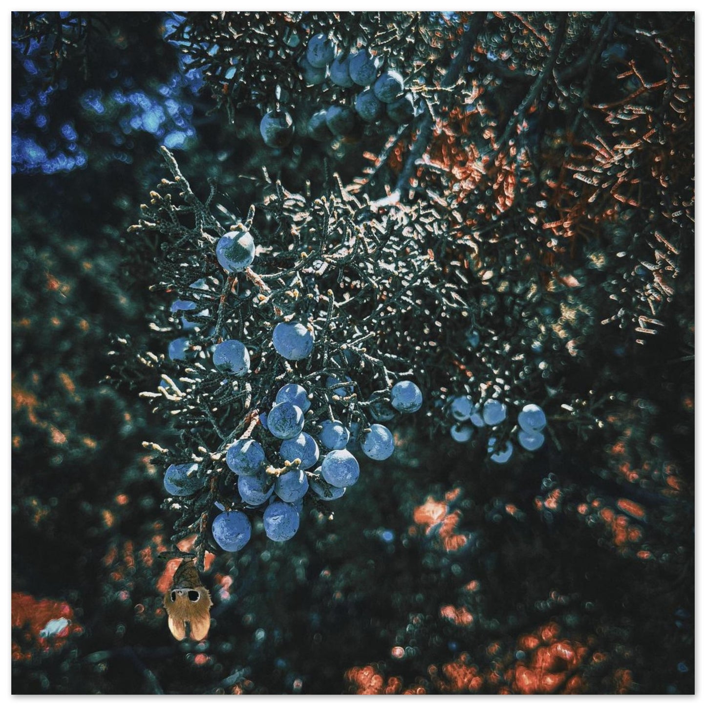 8605c7b8-7ced-4d2f-95ad-81330f9dc08a