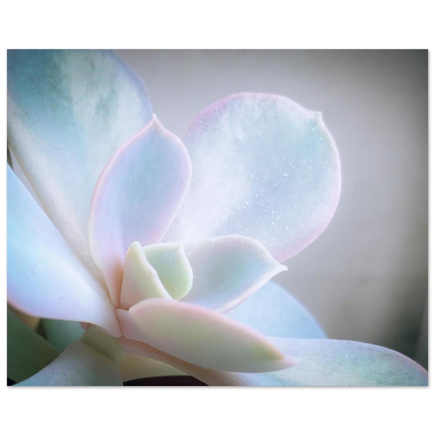 878dbd4a-cf47-4449-a250-5bc34cd7d9ba