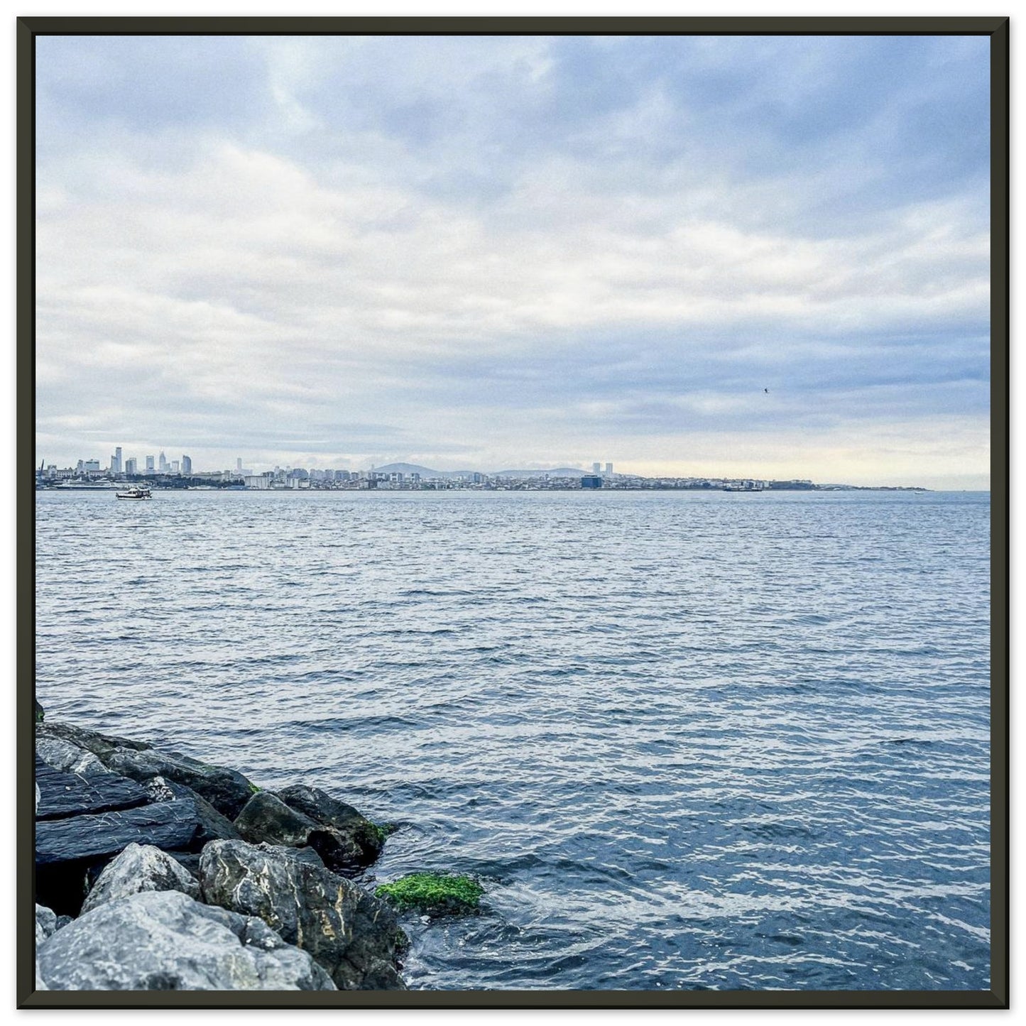 882aad3c-8165-4567-ae6d-d9d4d12b4c12