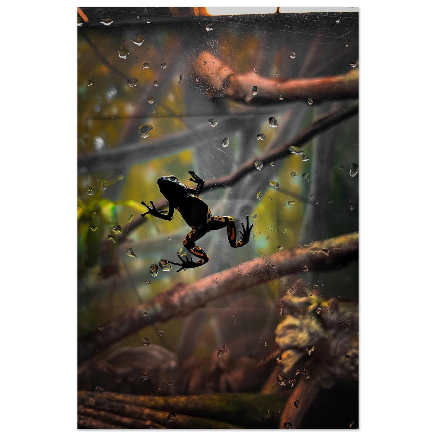 88c27443-ace1-462d-bfd9-76c5cb1c608f