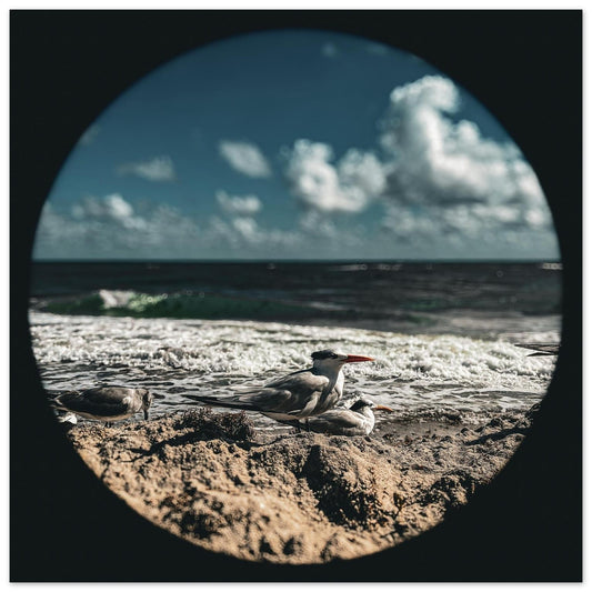 898b2d41-f28e-40fb-a21b-5edce1ebeae7