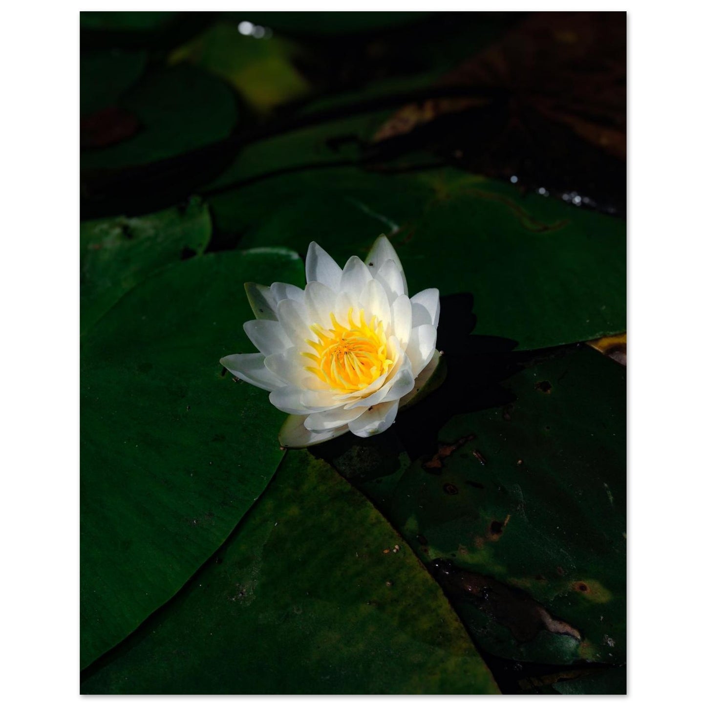 8a205384-6801-4e8f-ad41-a5f568059575