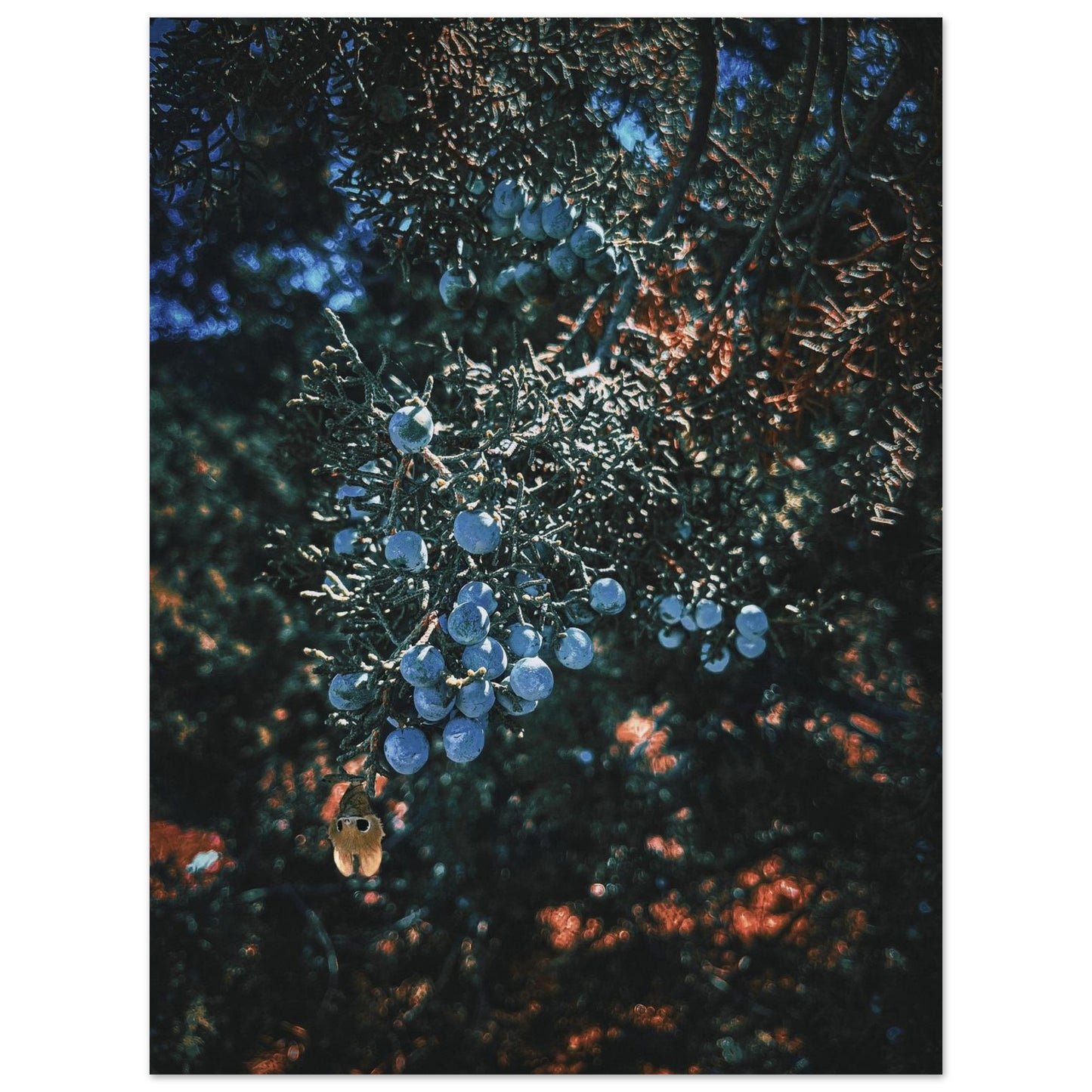 8e9e0111-2c9e-4bb1-806e-a1d1ad07ed1c