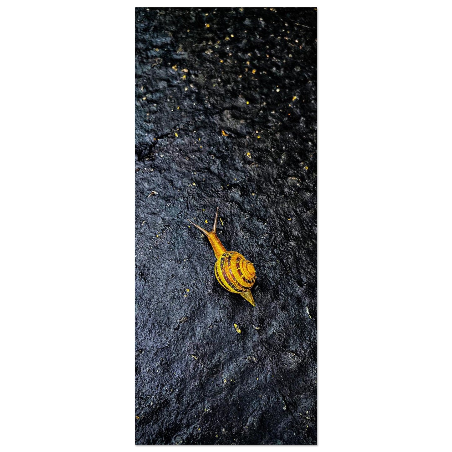 8fa7a95d-1a7d-4626-b73e-25af9ebee4b0