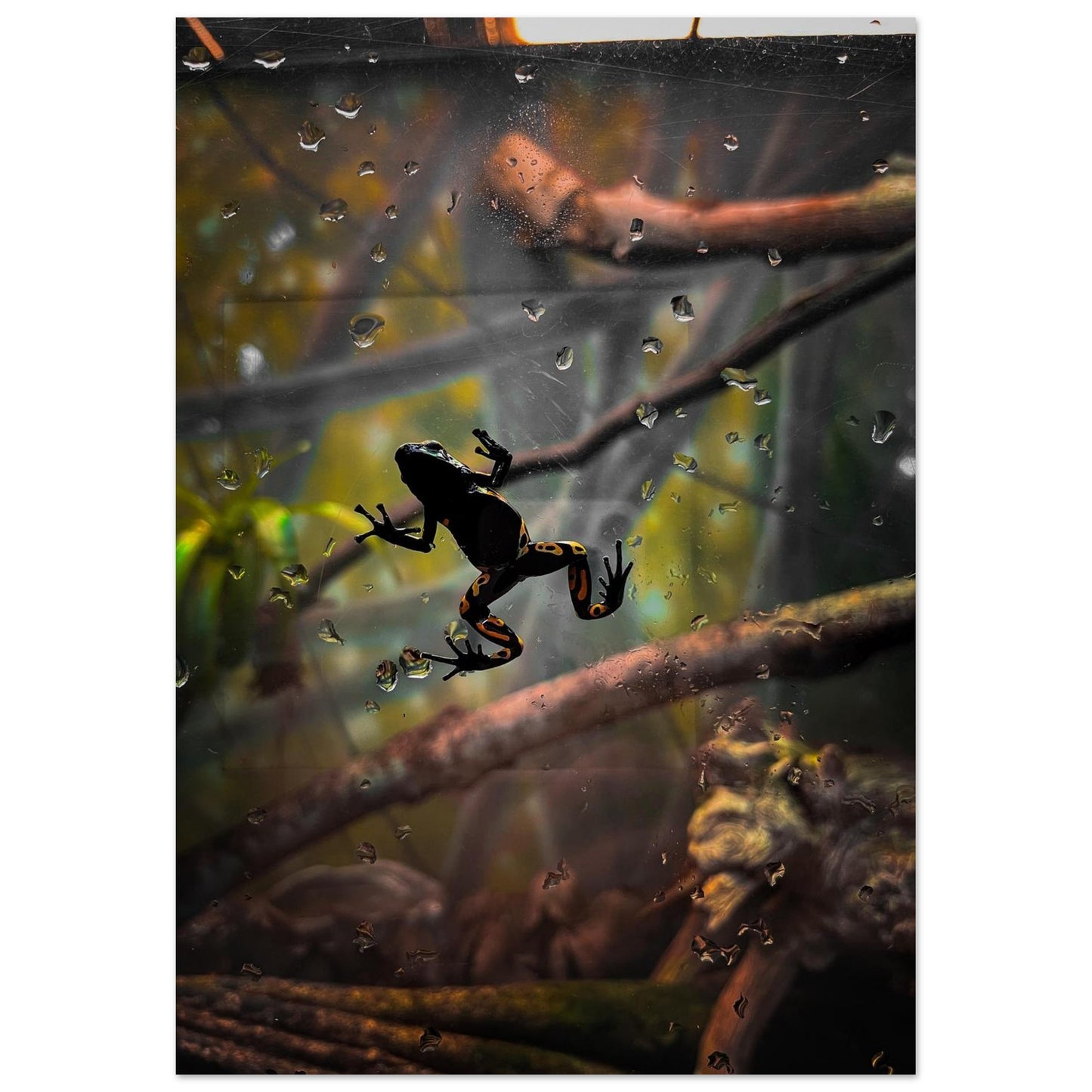 8fce0422-75de-42d5-99af-1460080f7db1