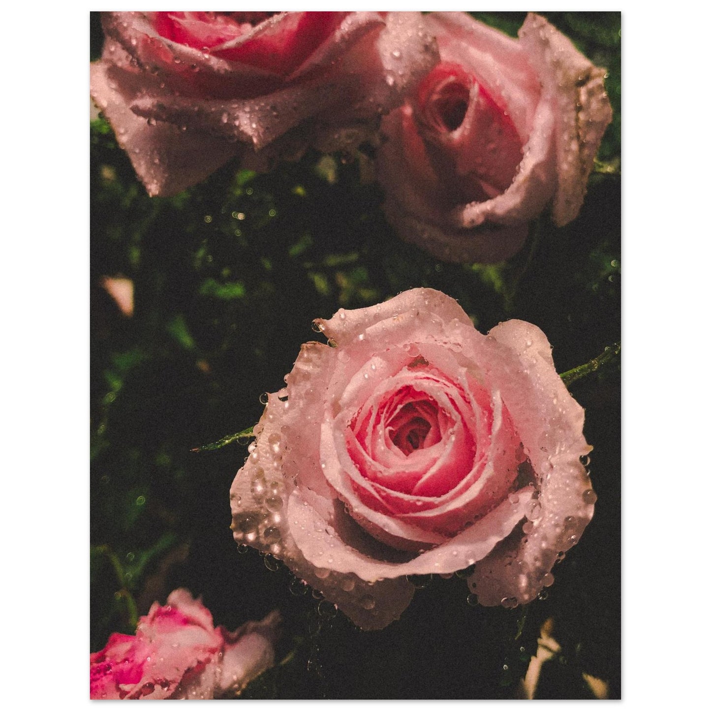 902916e3-ecfb-4aa4-bca6-9e2c96350787