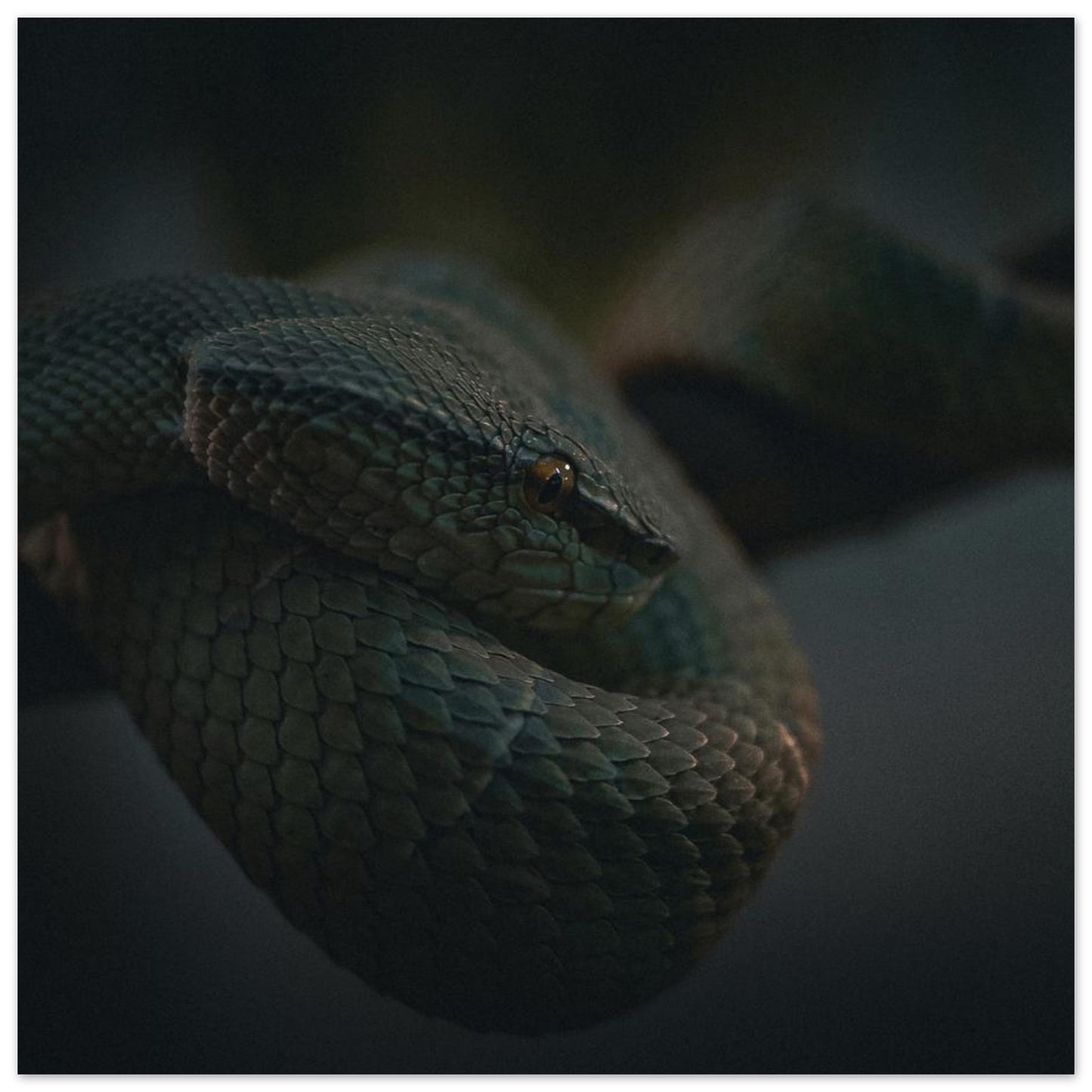 90f37ac8-42ef-4b5d-97a0-991fb850bc79