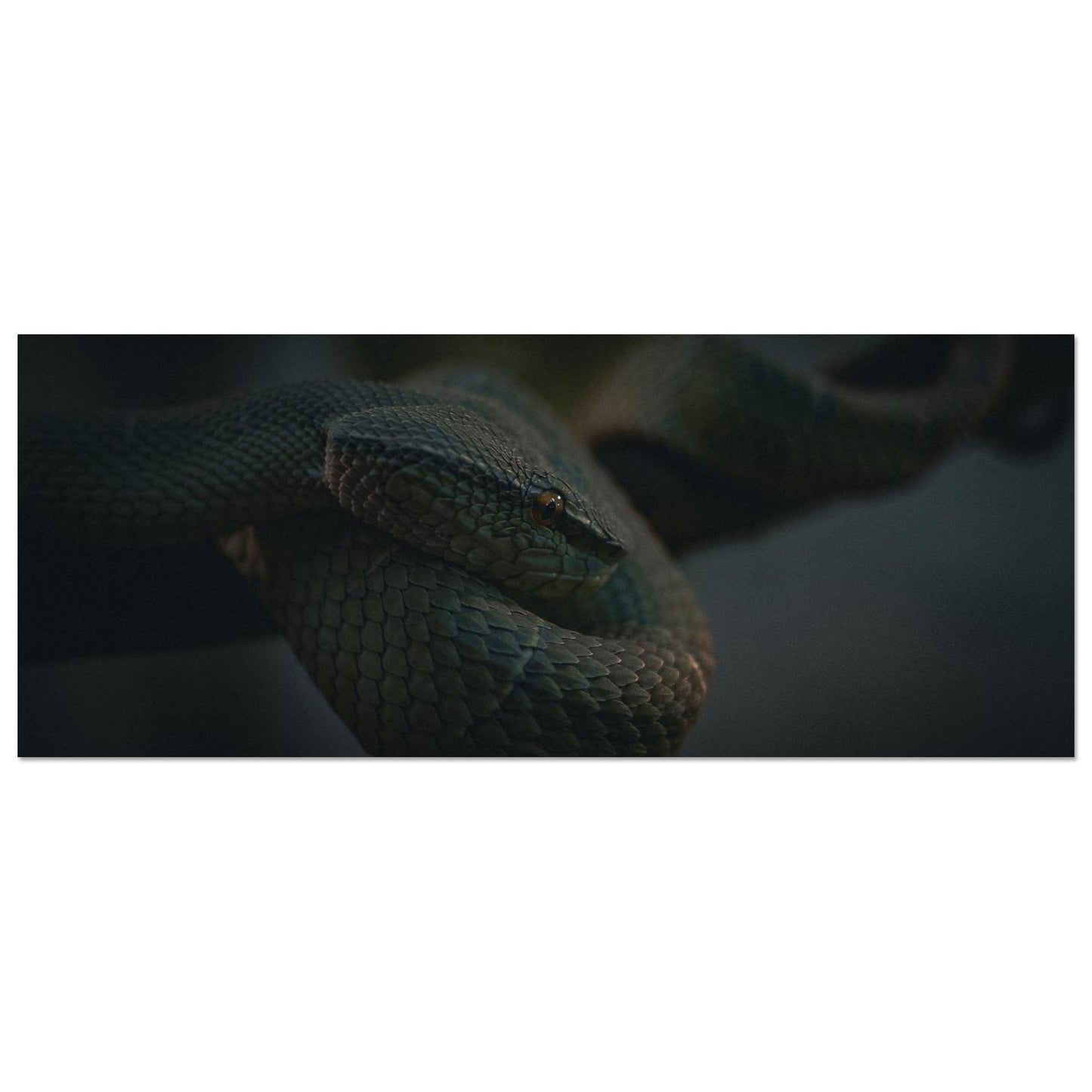 926a3068-43c3-4856-ad42-53440db27d97