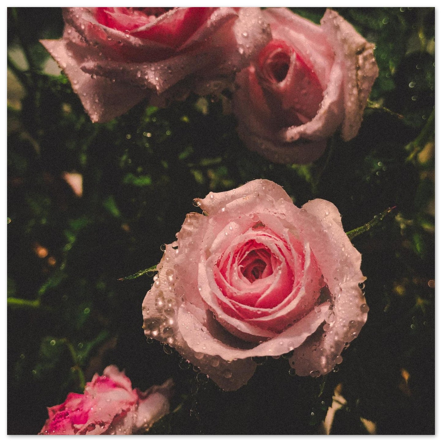 929406b0-0fc9-4b9b-8dc0-ab3642852e3d