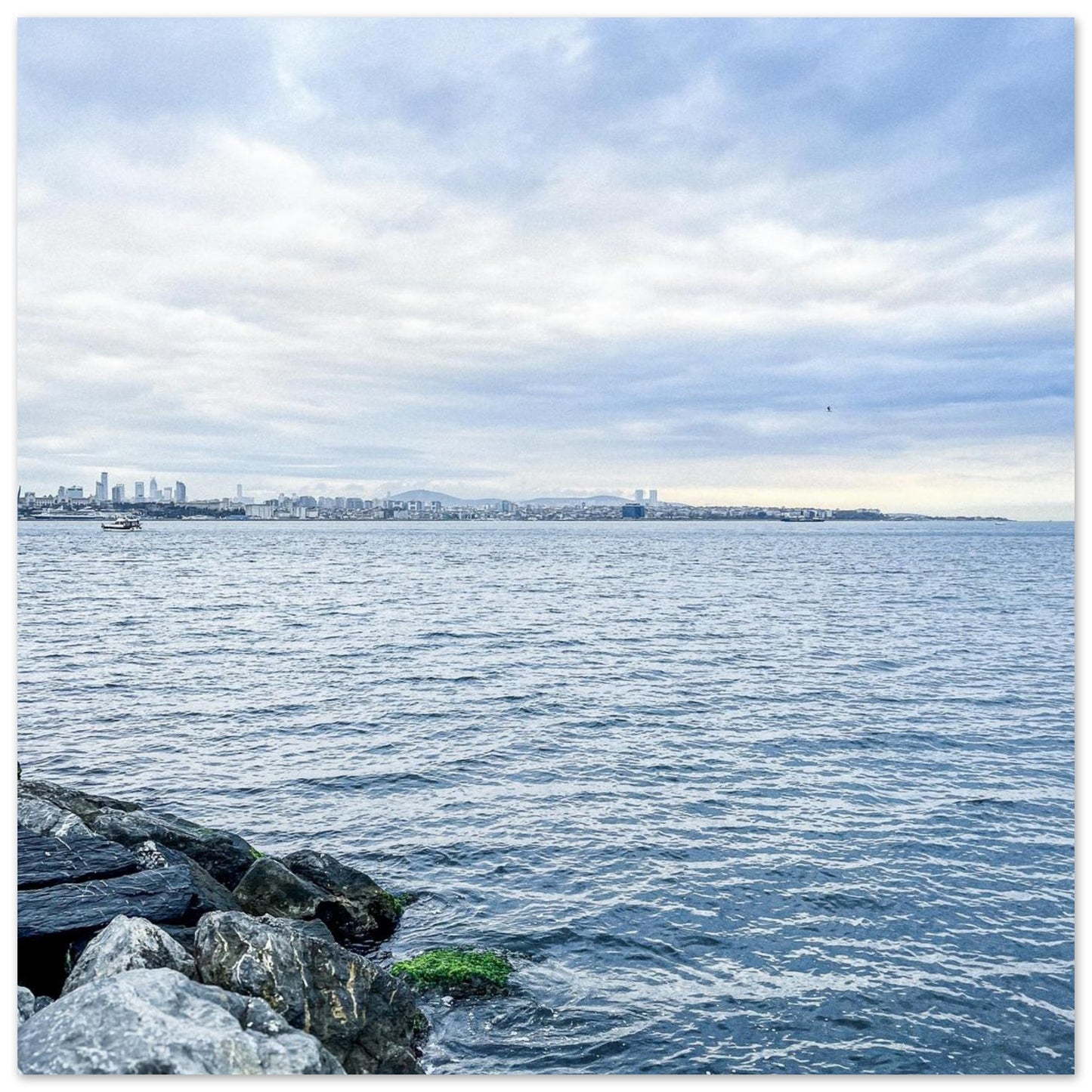 936159b2-d63f-495d-a3dd-6d831203e93a