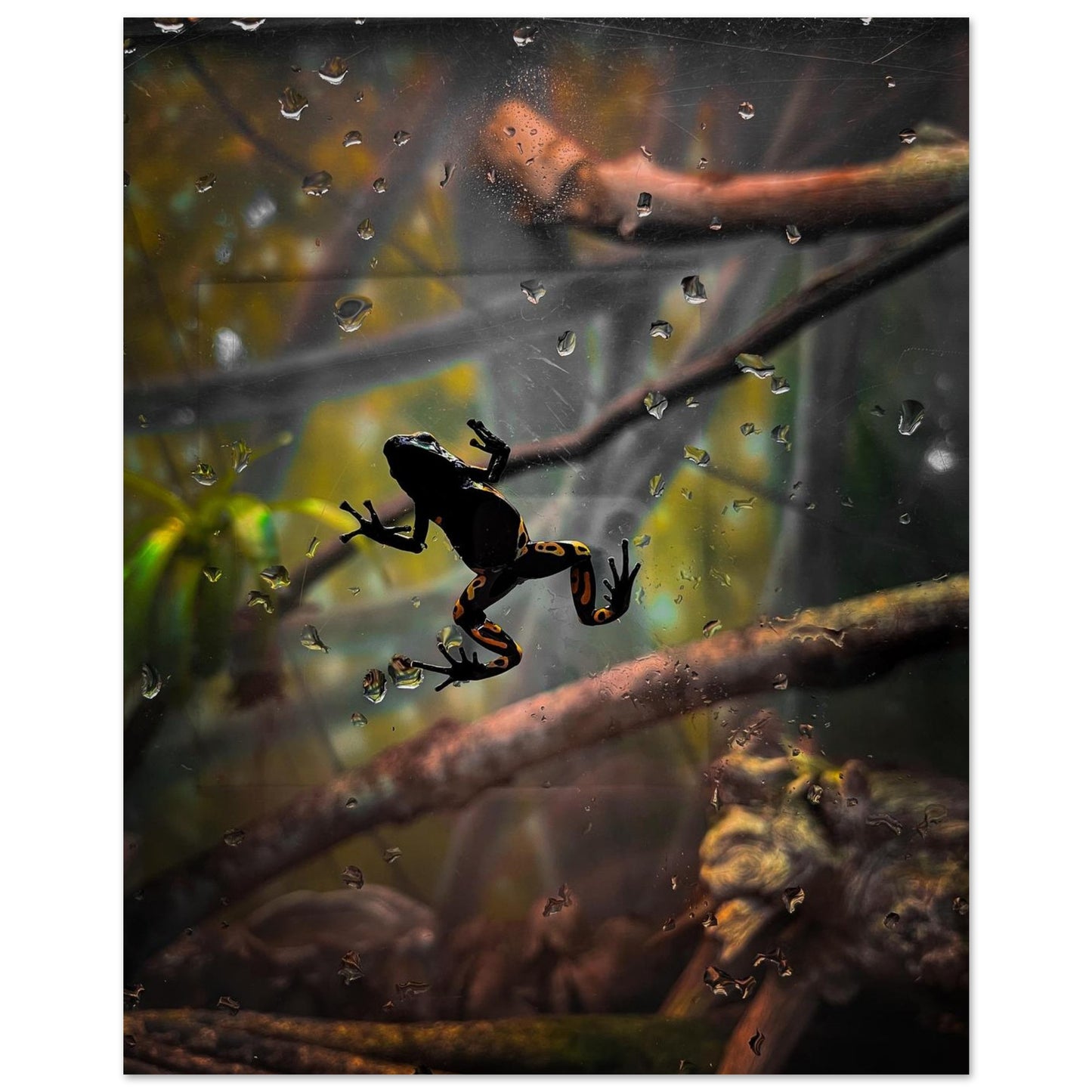 93644ef7-081d-4094-8805-0c36fcf4c360