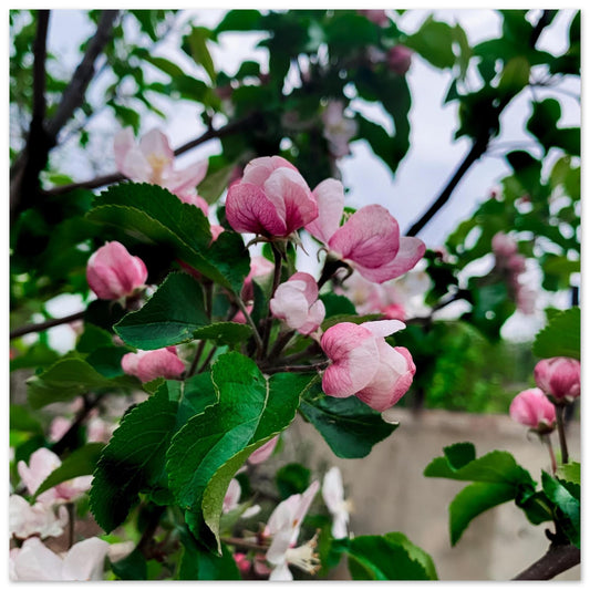 95800258-1e44-4427-bf4c-9888faa0fff0