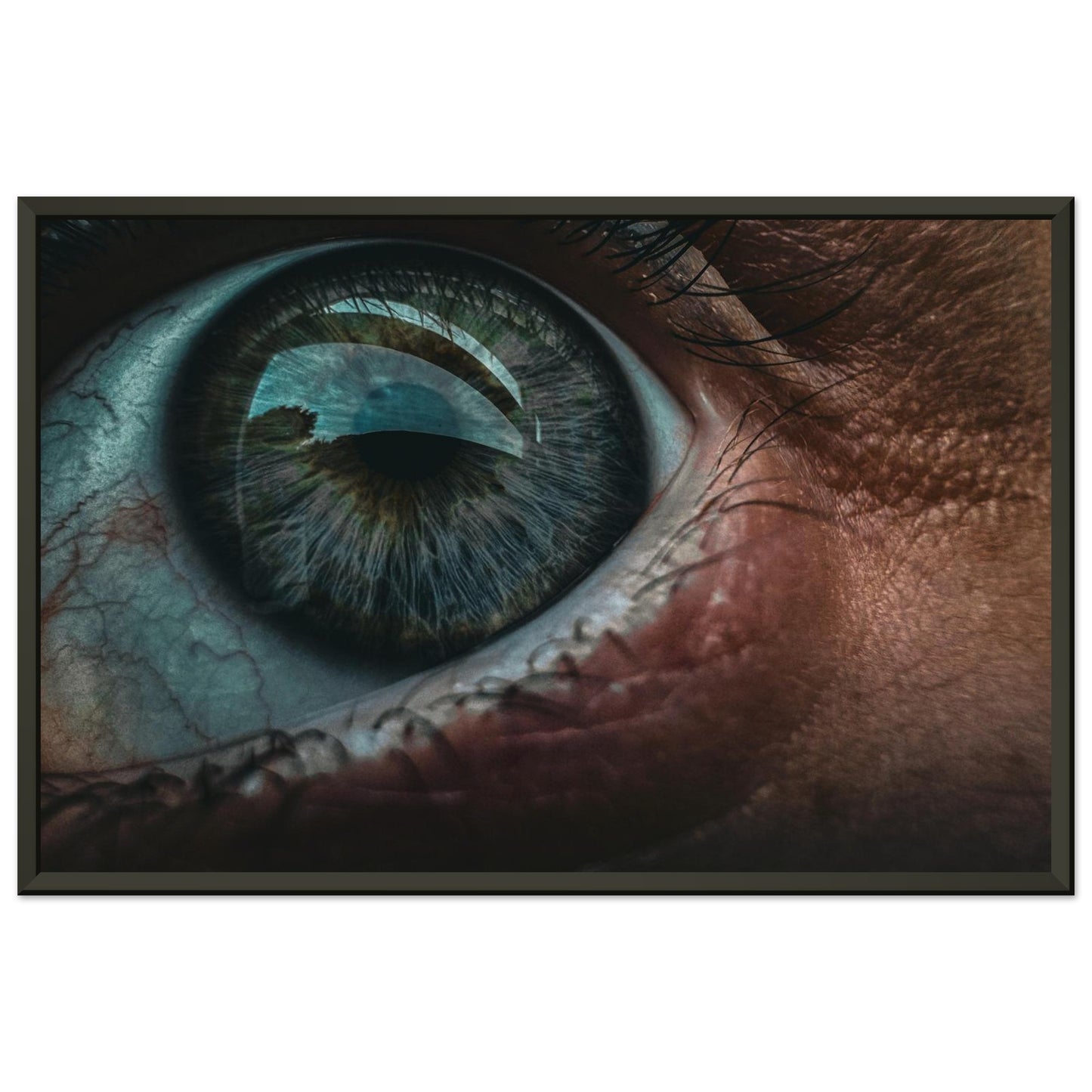 95c095ff-a17b-4550-a9c7-2112ef35e01c