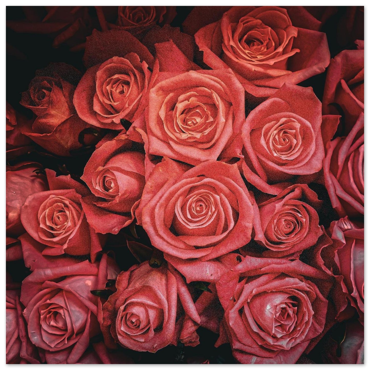 97f0b2fb-3cdd-47a7-866c-d3676f54bf81