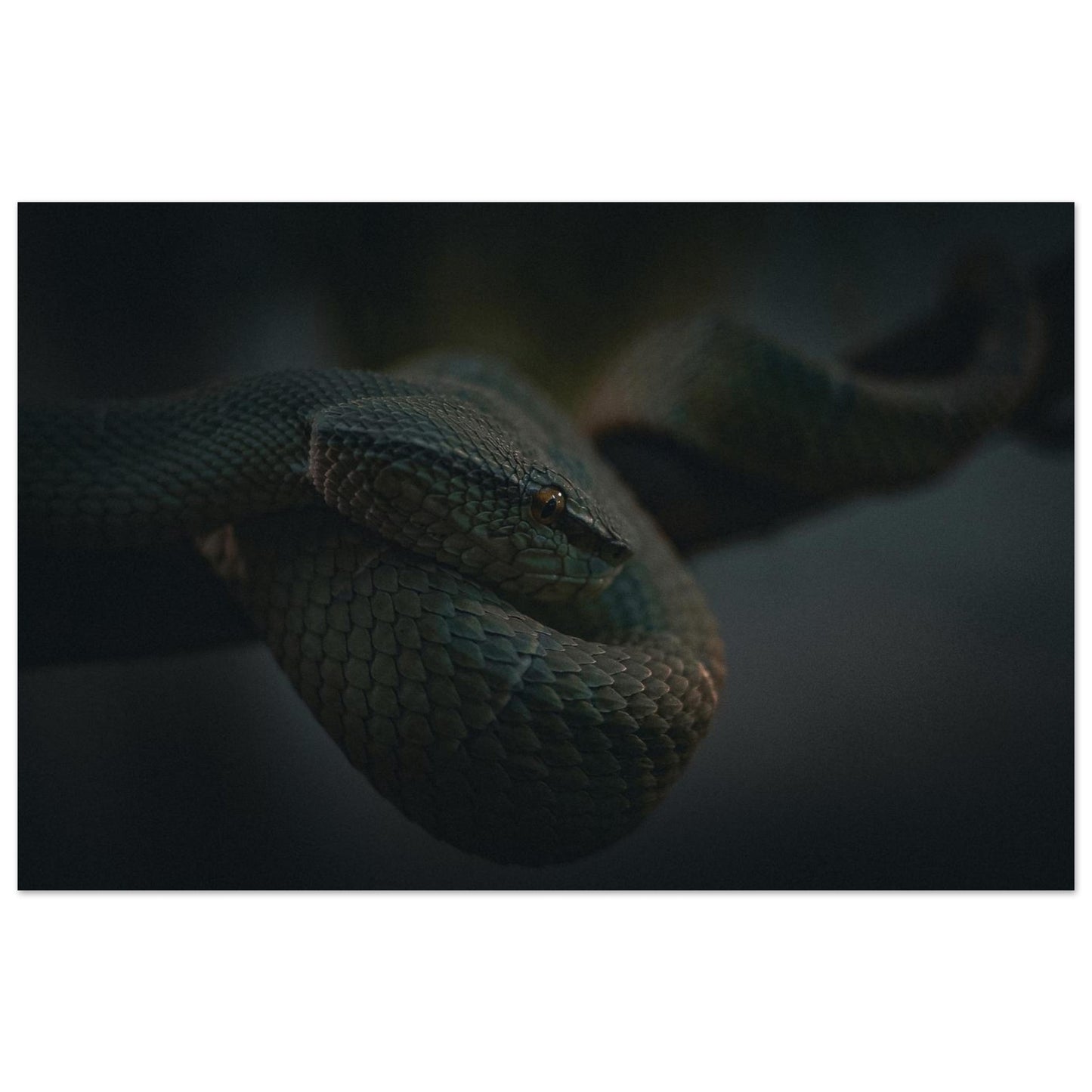 9907c6cb-bbb9-4e80-aabe-50f78cf7295e