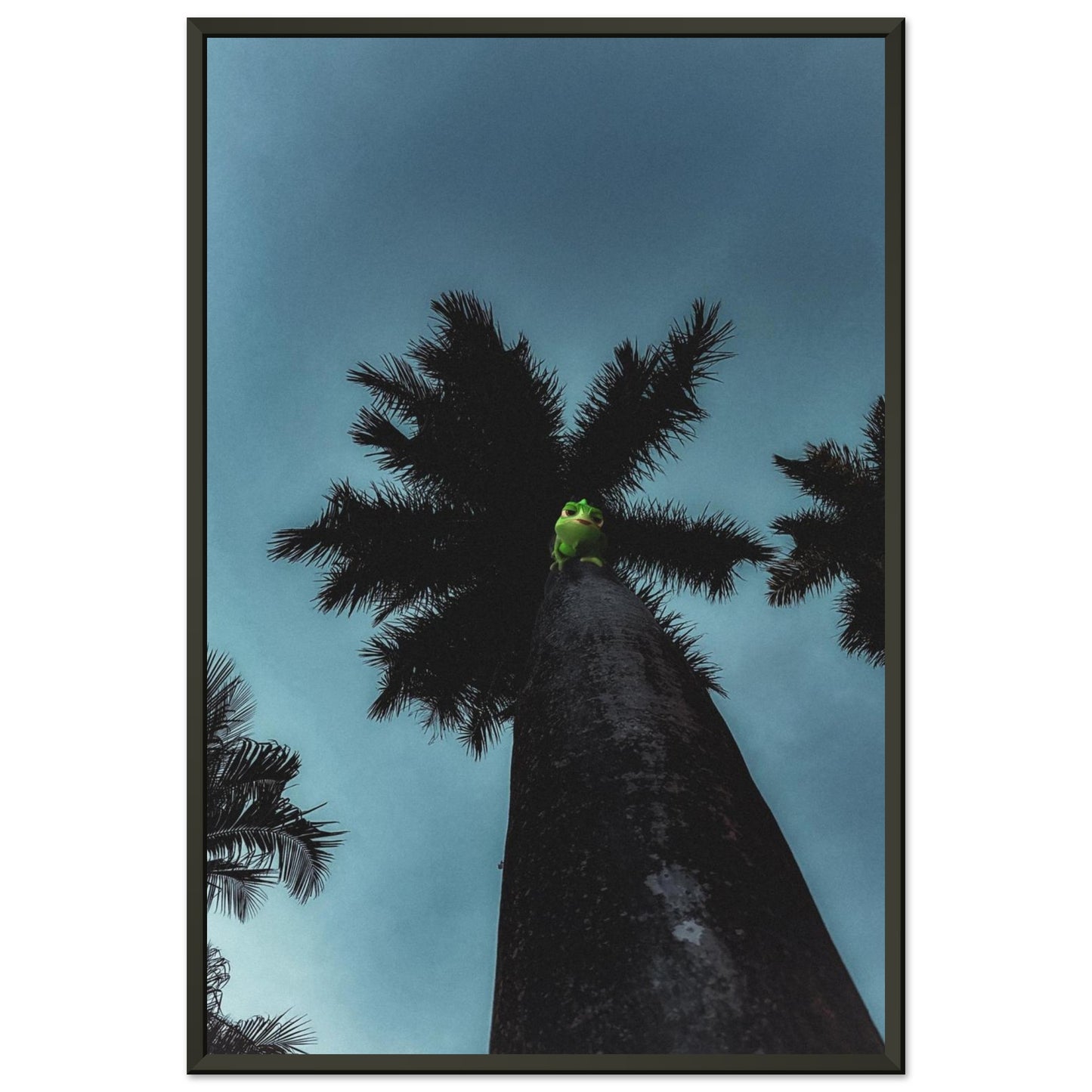 99f2d0c8-f9af-46cf-b55d-c50bacf783b4