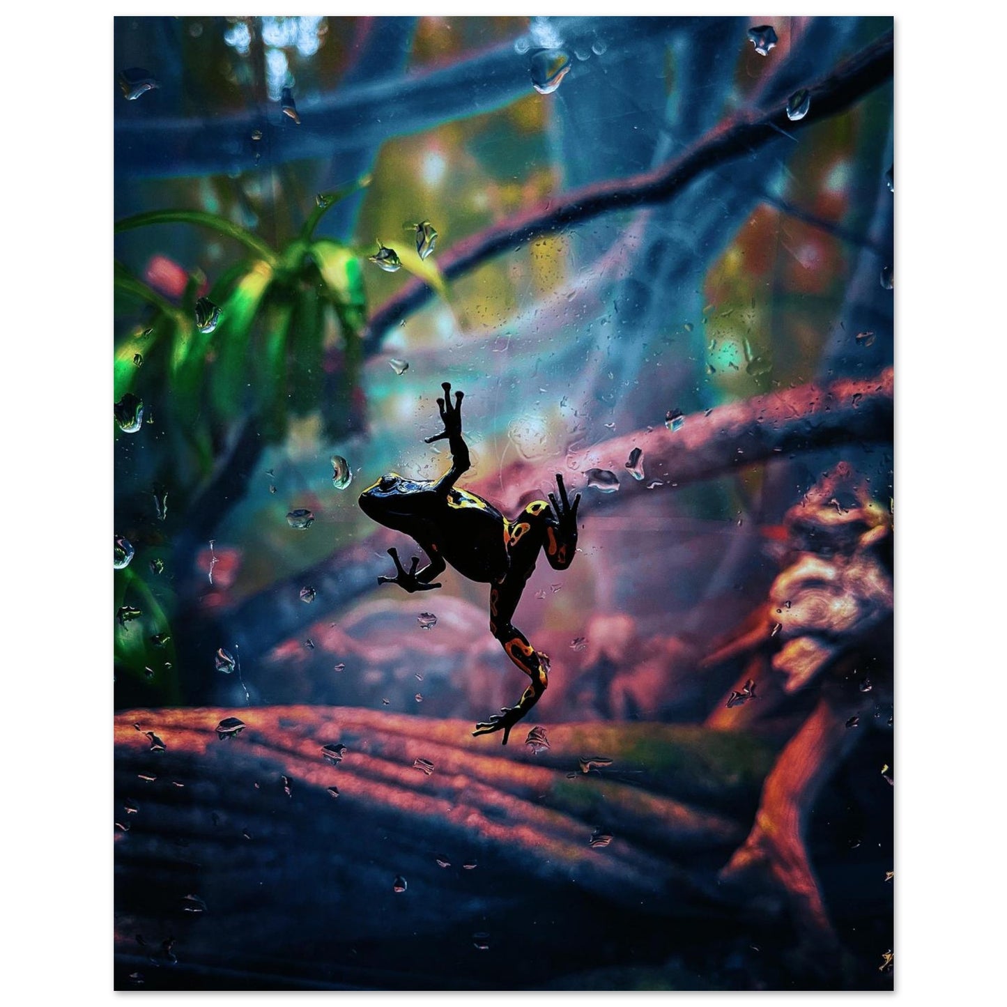 9b1a2088-4326-48f0-8eb8-5bf1f1cf72a5