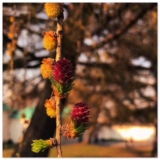 9b6dcf96-50dd-4e2c-882d-6f97b72bb855