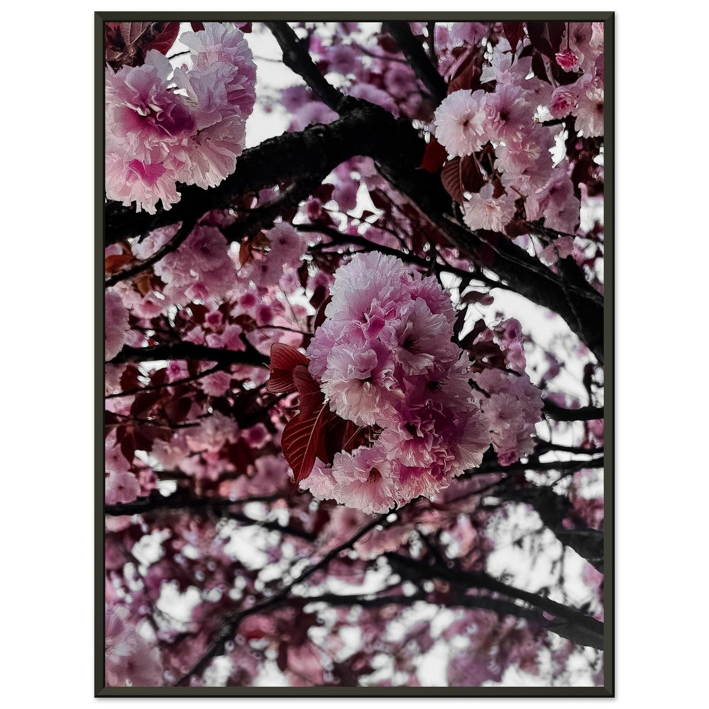 9c51f3c6-42bb-4e21-8b3b-7334090216c4