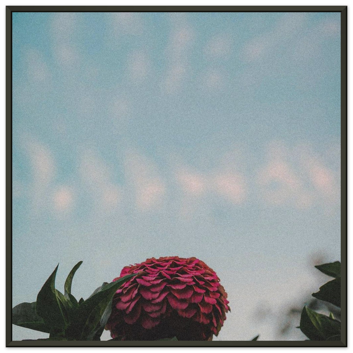 9d1b573d-6253-4a6c-8f77-7a4bc32b6786