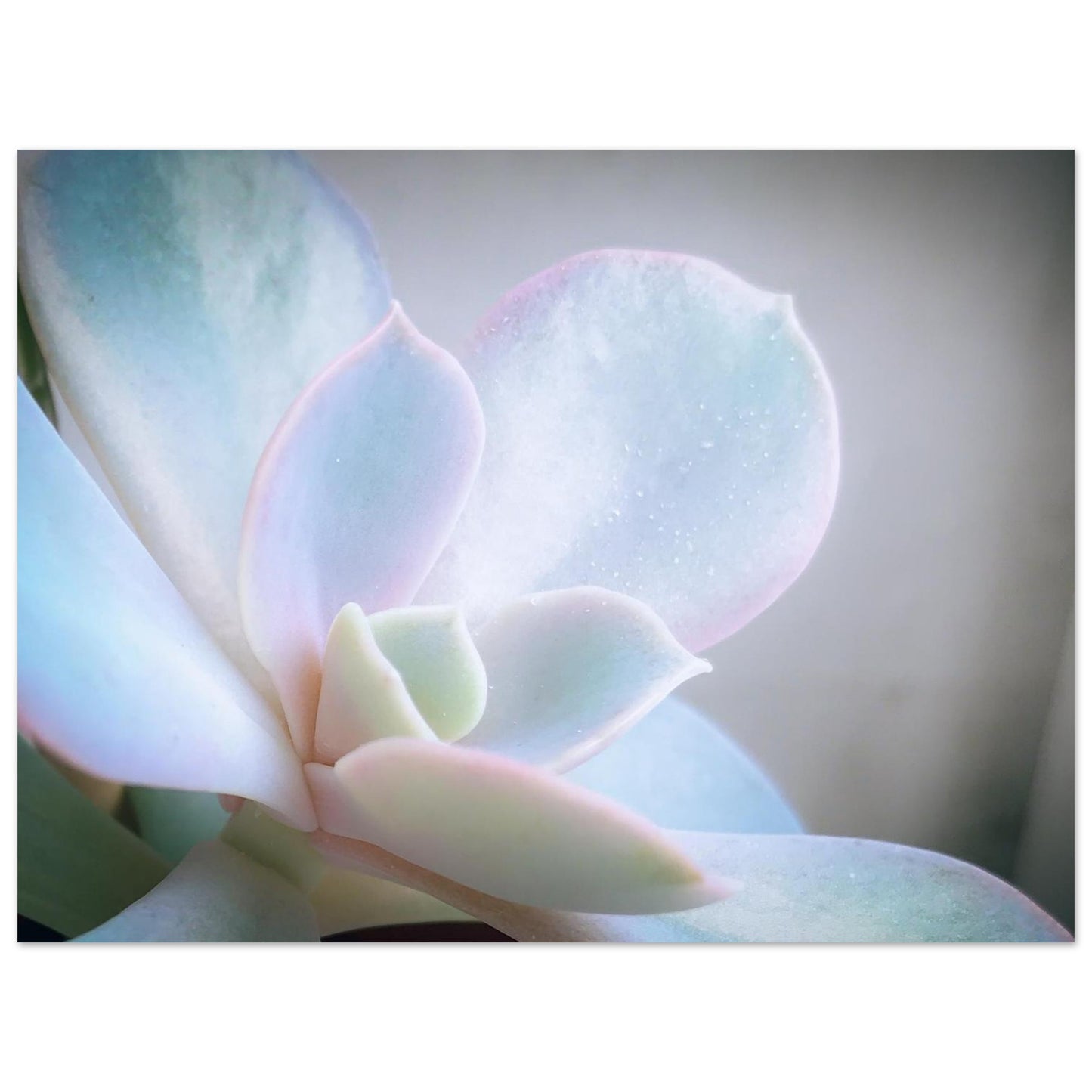 9db343c8-1128-44d3-8b67-956ba423cff7