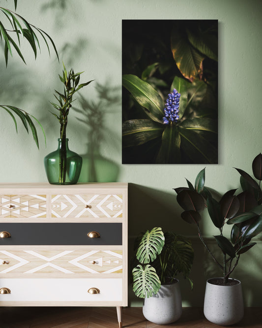 Blue Tropical Flower Art Print: Botanical Nature Photography, Framed Poster