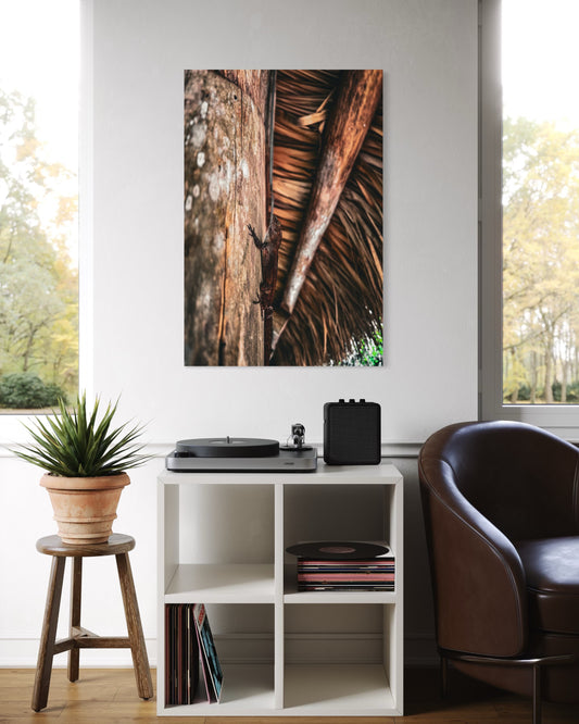 Tropical Lizard Print: Rustic Nature Photography, Exotic Wildlife Decor