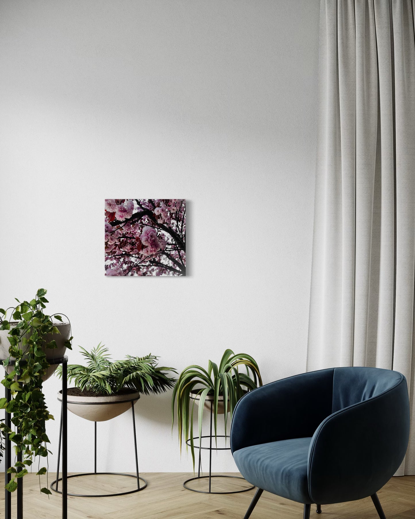 Framed Sakura Tree Print: Japanese Cherry Blossom Photography