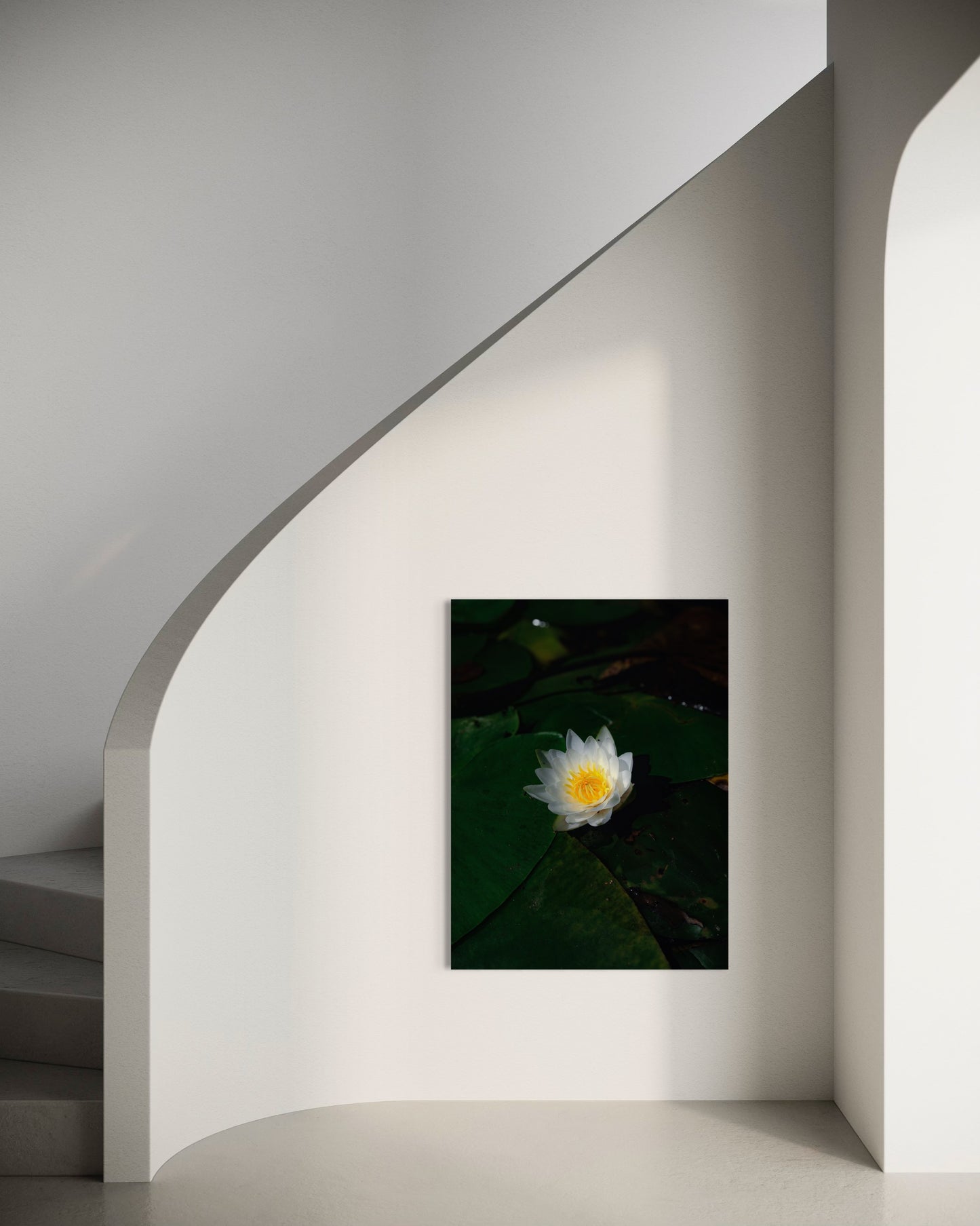 White Lotus Photography Print: Zen Water Lily Wall Art