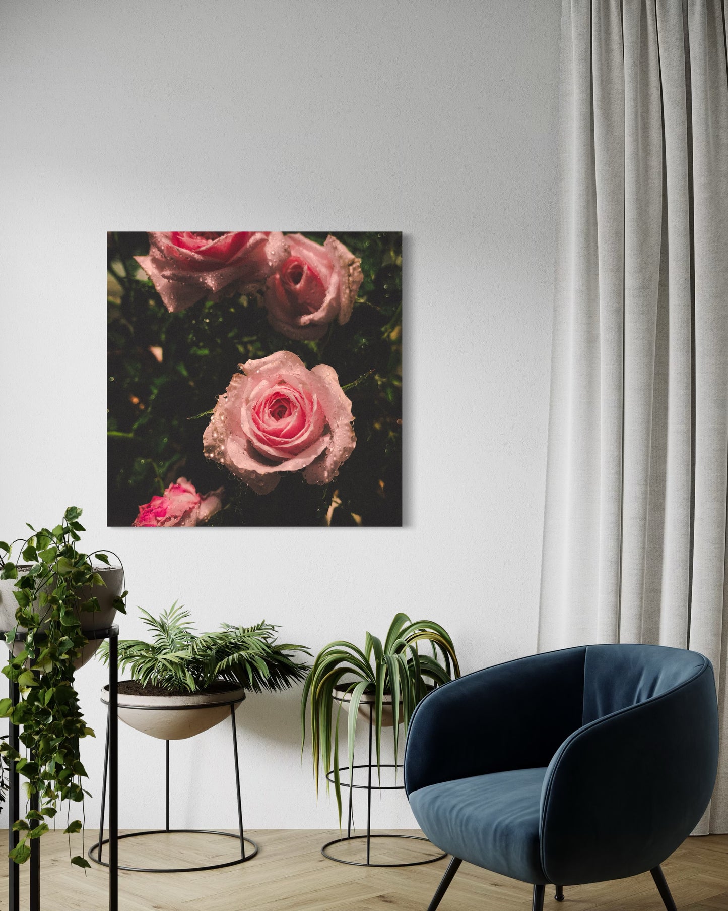 Blush Rose Photography Print – Romantic Floral